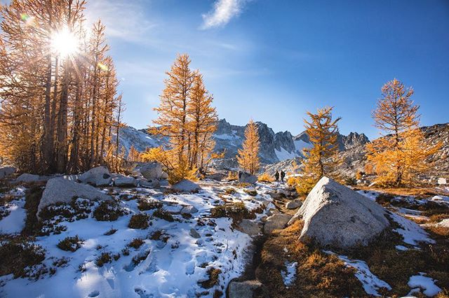 Larch season in the Enchantments with friends.
#rei1440project #explorewashington #cascadiaexplored #enchantments #hikelover #backpacking #backcountry #alpinelakes #larch #yellowlarch #hikingadventures #backpackers #pnwlife #pnwonderland #bestofwashi