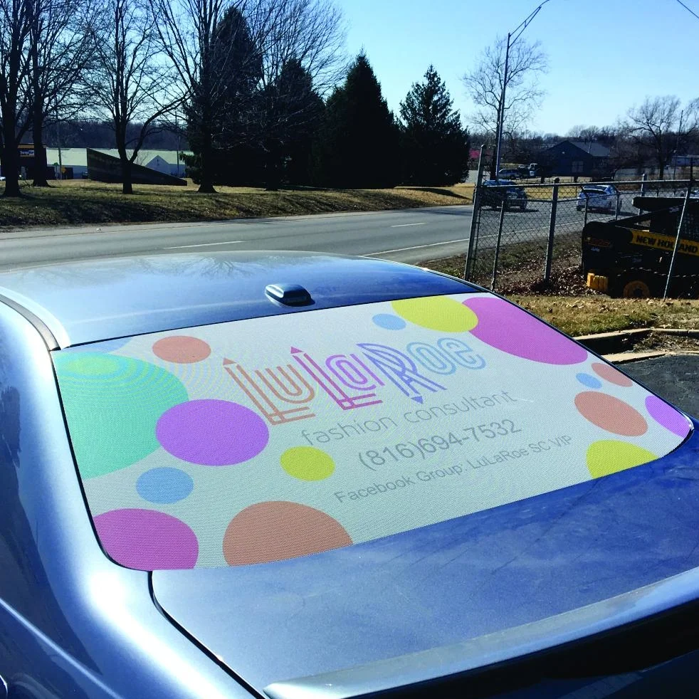 LuLaRoe Rear Window Perf.jpg