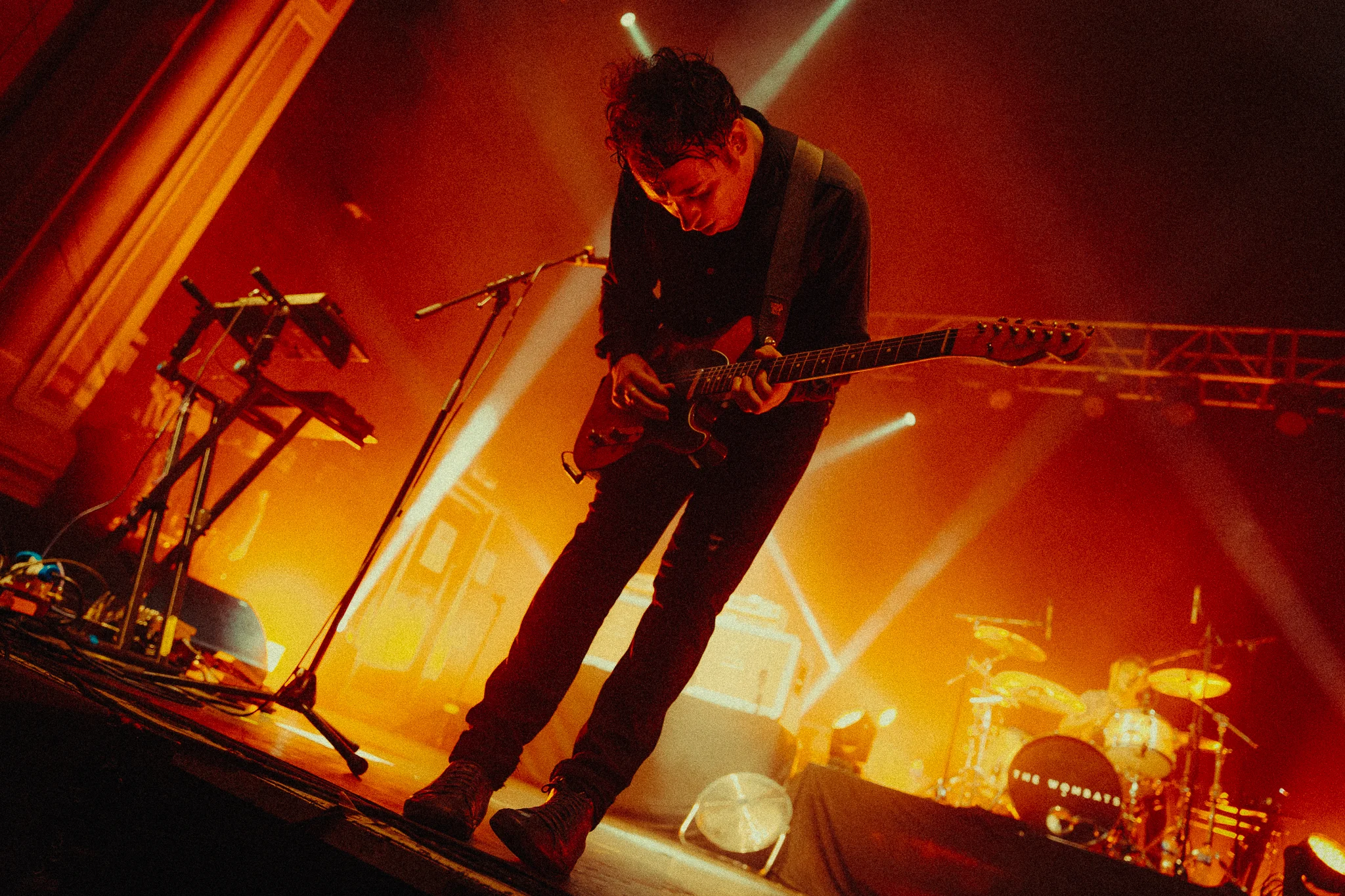 wombats11.jpg