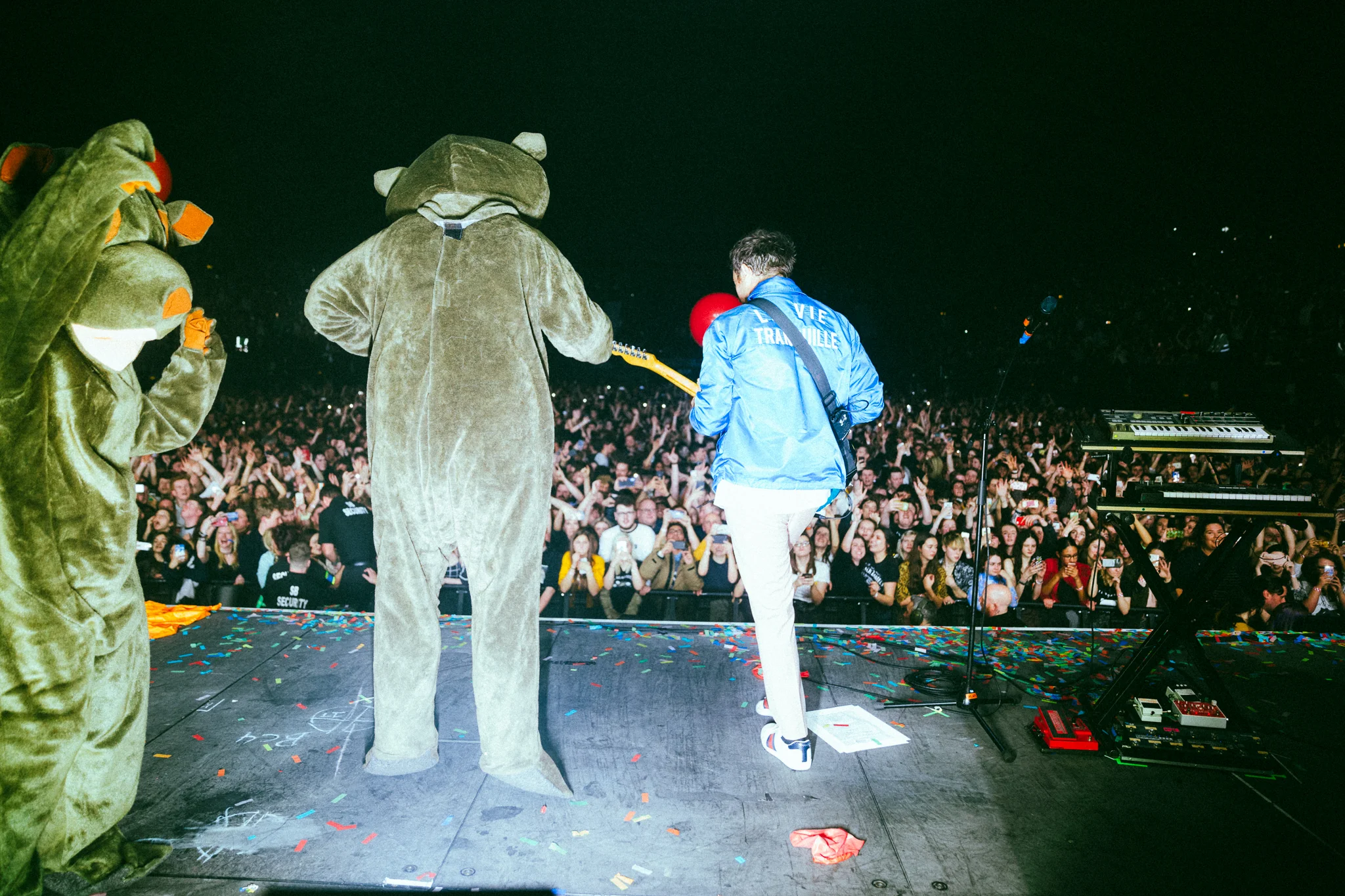wombats27.jpg