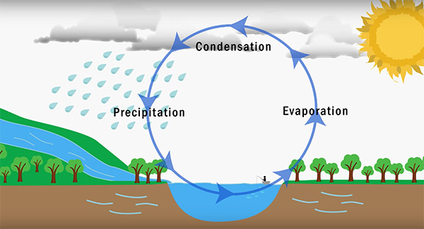 "While water covers 71 % of the earth’s surface, less than 1 % of that is accessible fresh water. We must protect our limited fresh water supplies from harmful contaminants. Non-point source pollution is the biggest threat to water quality today, meaning that many small actions build into a big problem."