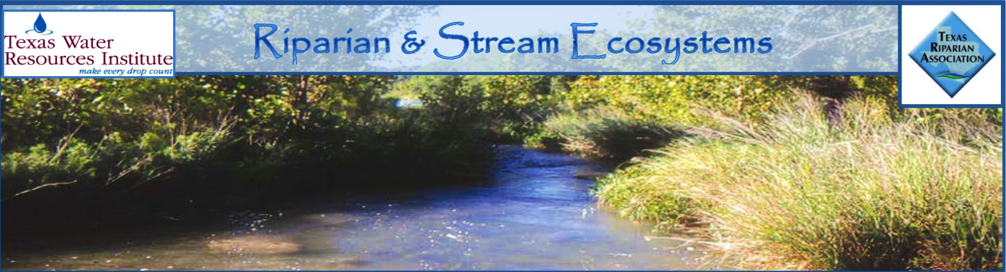 riparian.jpeg