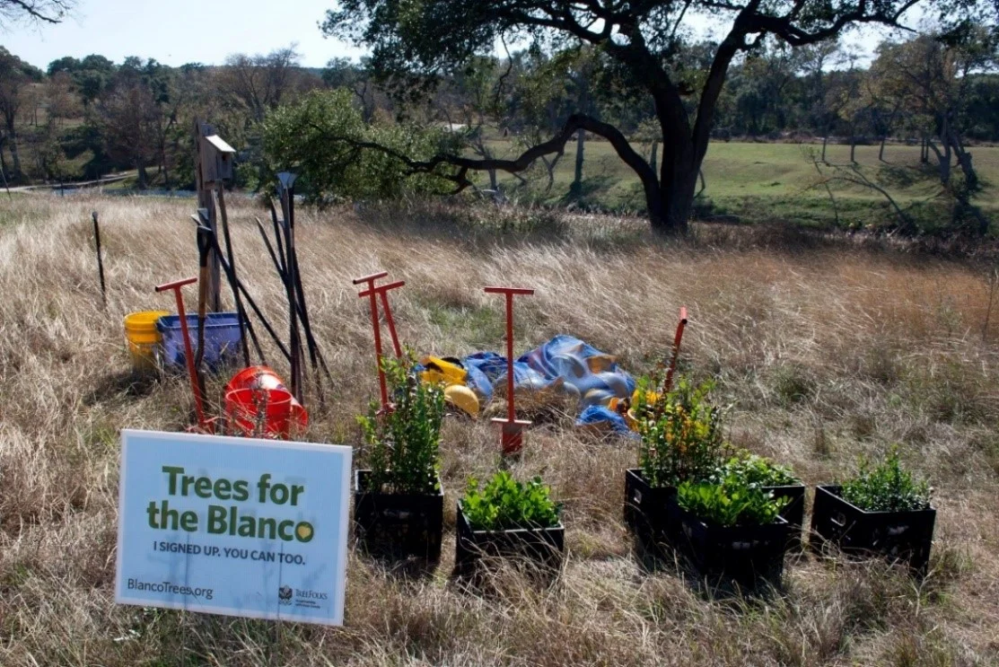 Trees for Blanco.jpg