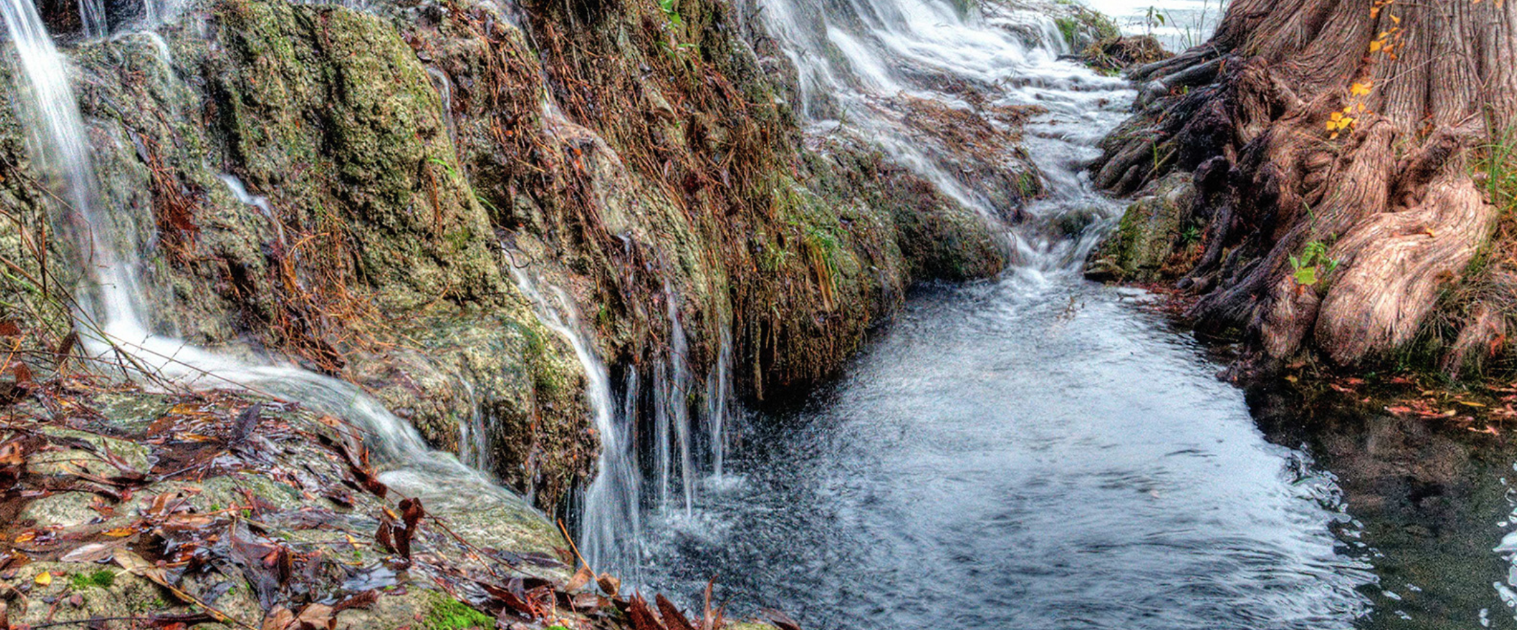 Water Quality