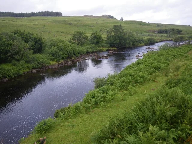 riparian.jpg