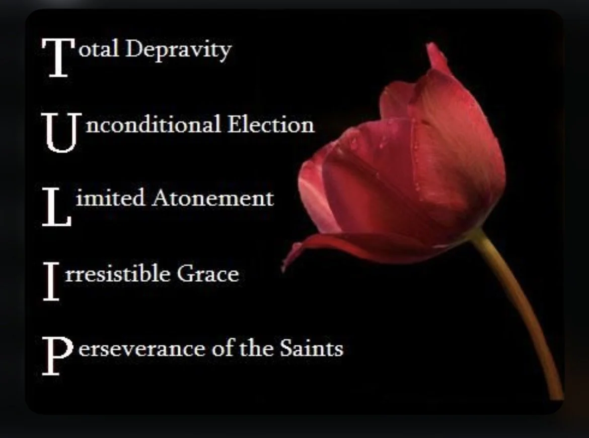 TULIP The Doctrines Of God’s Grace — Reformed Baptist Church of Platte