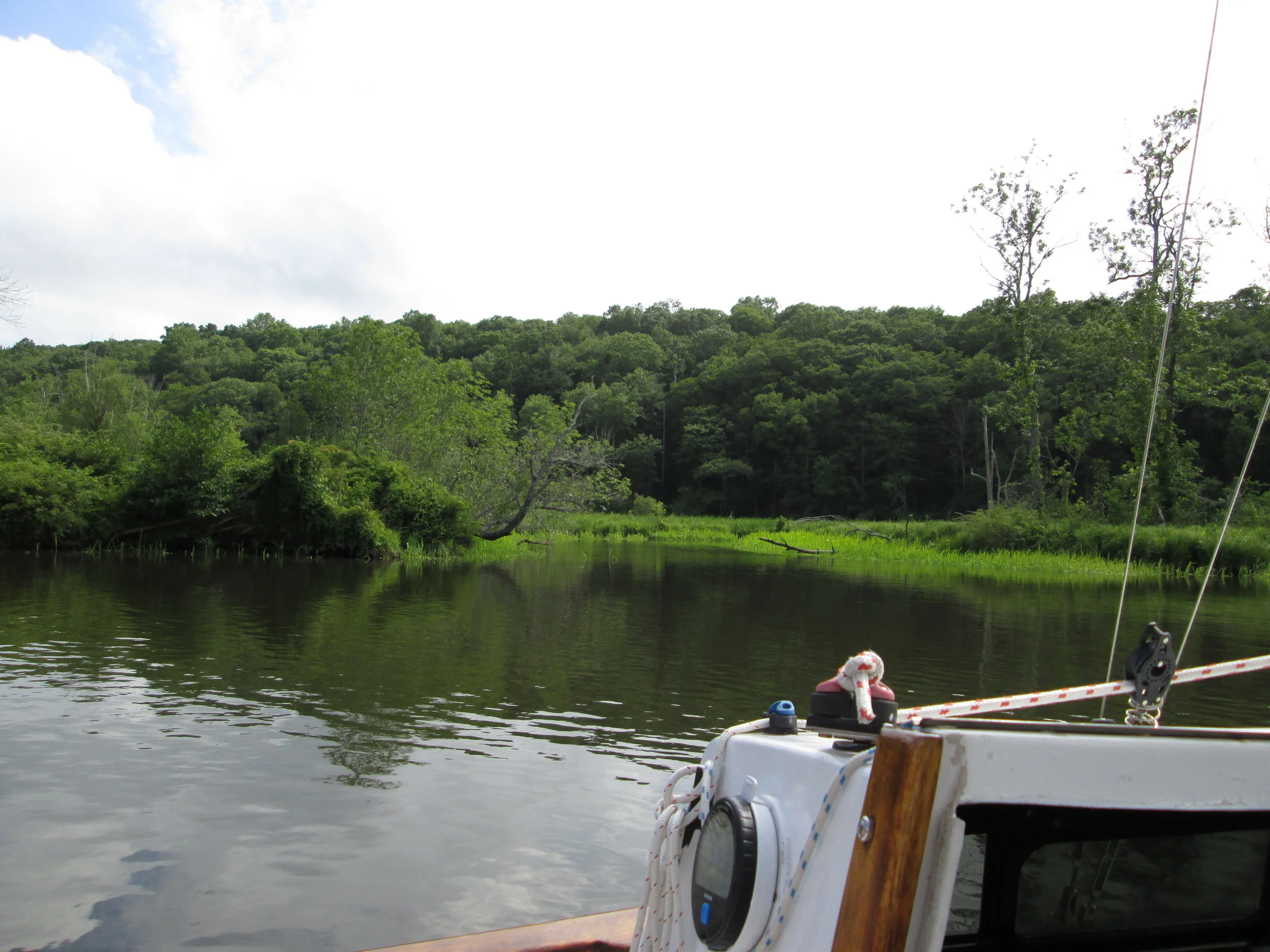  On the second day, we sailed up the river and motored through Selden Creek. It was like being in tropical everglades! 