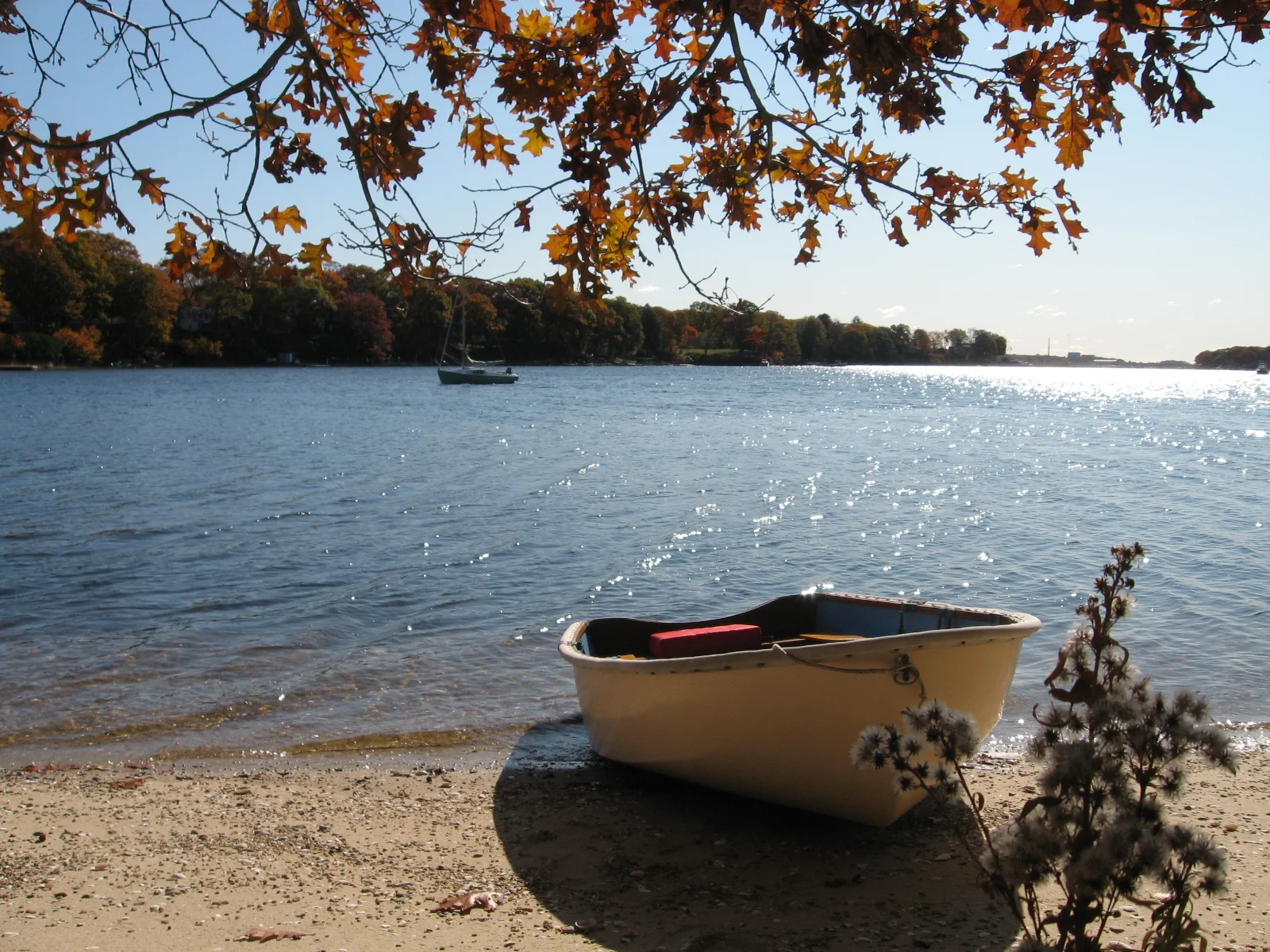 Rowed ashore in my nine-foot Dyer Dhow TRUE LOVE to explore Turkey Point beach and some woodland paths.