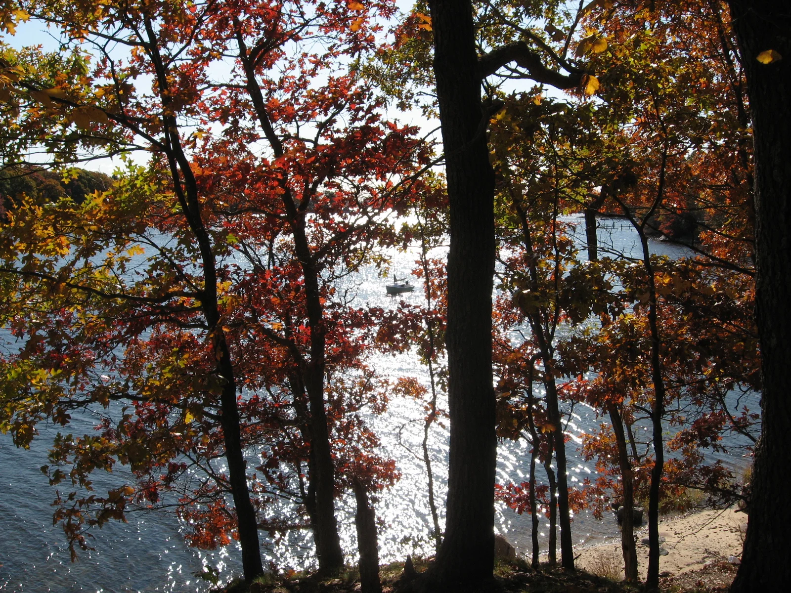 ORION is just visible through the trees atop a nearby cliff.