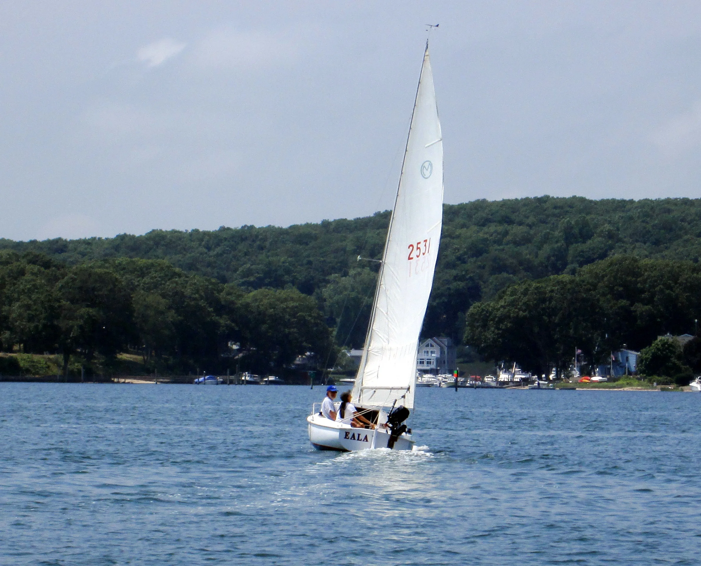 More Sailing Pictures