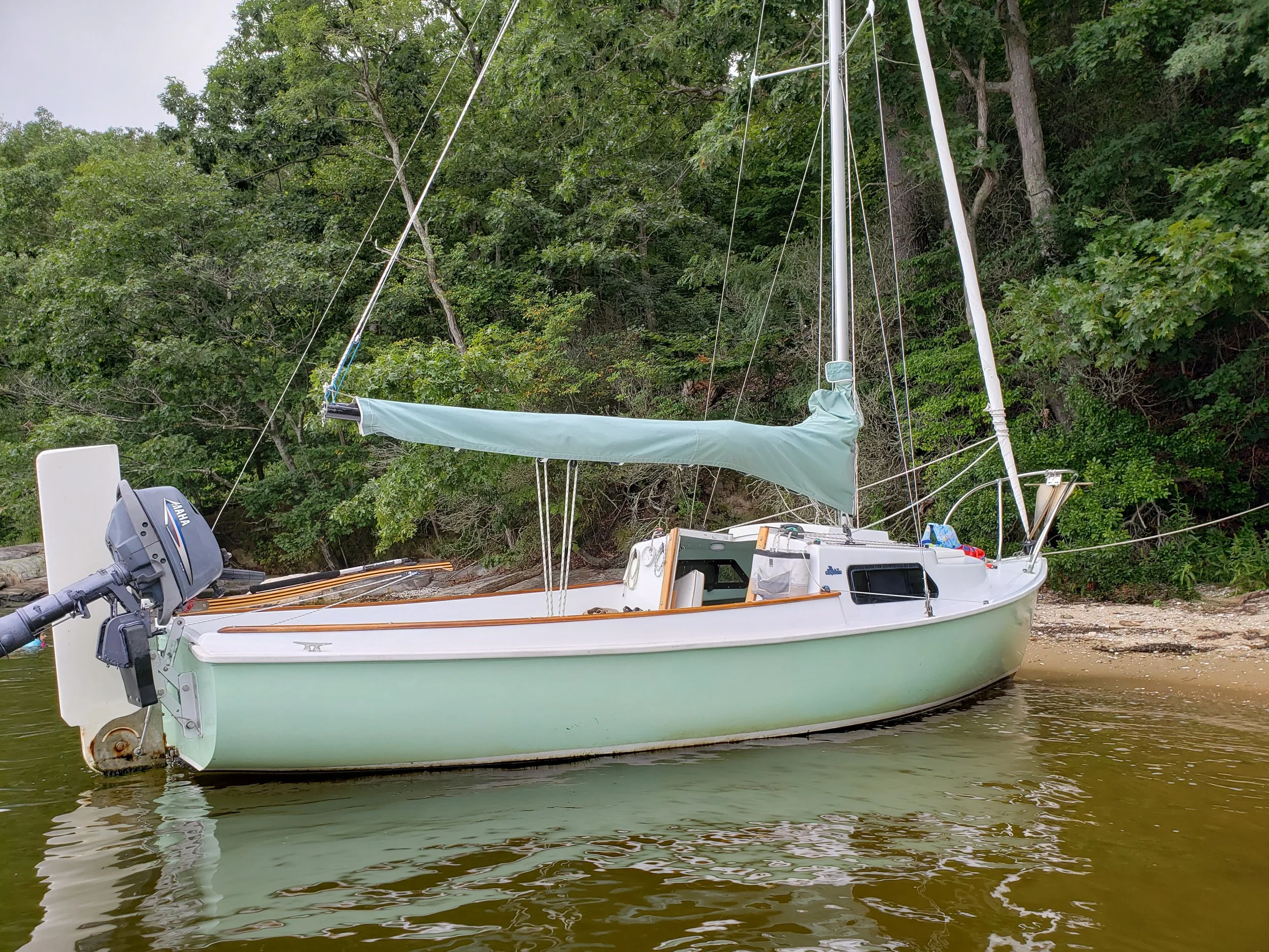 New Sailing 2019 Pictures