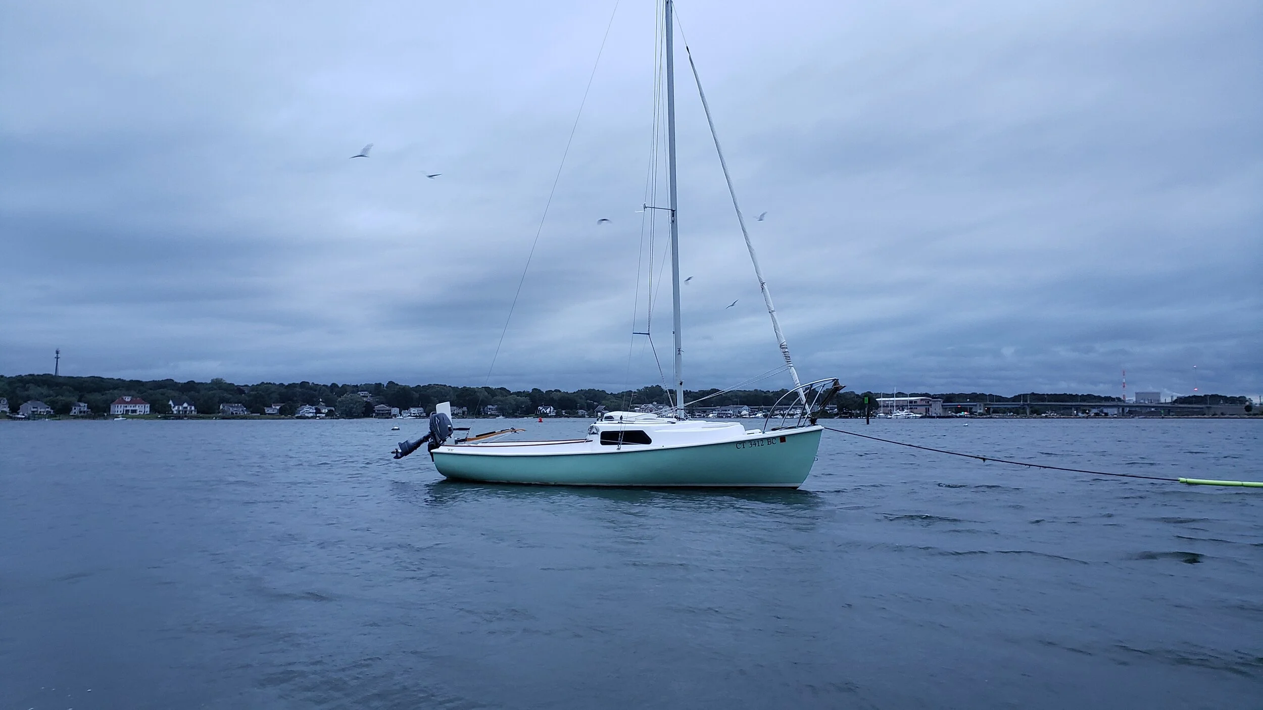 Back in the Water