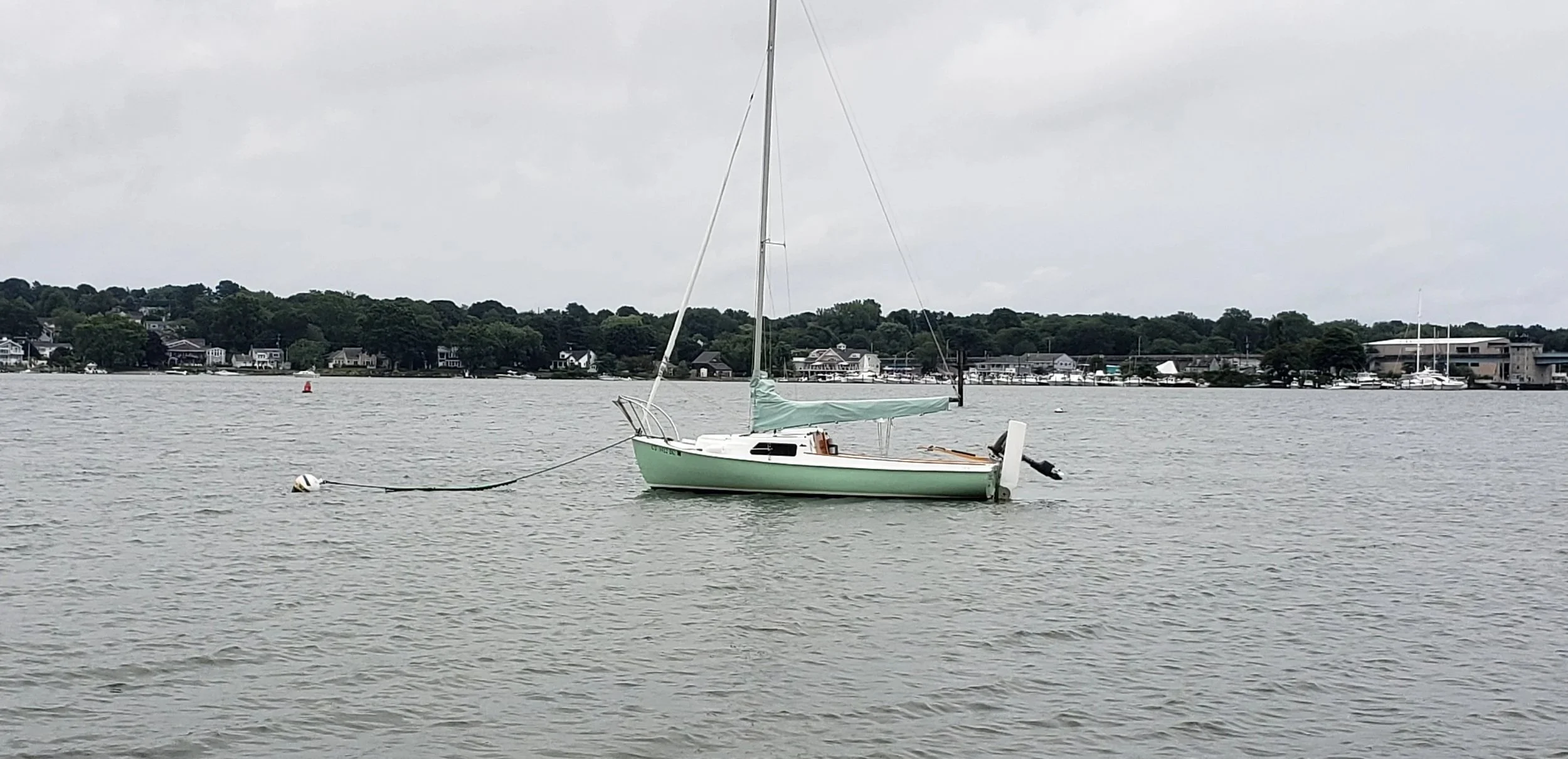 20250801_075937.jpg