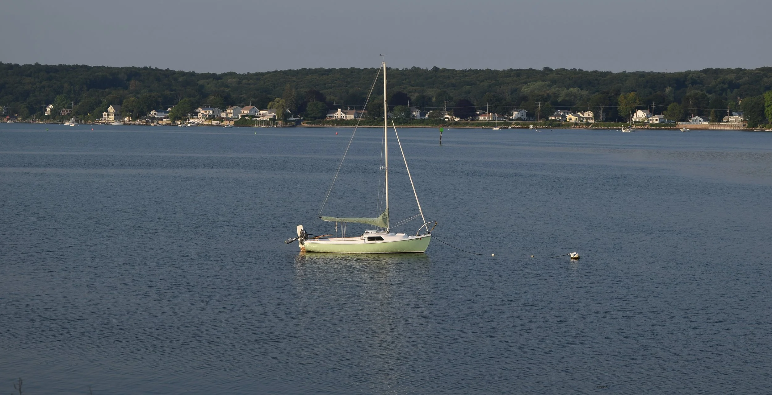 DSC_0379.png