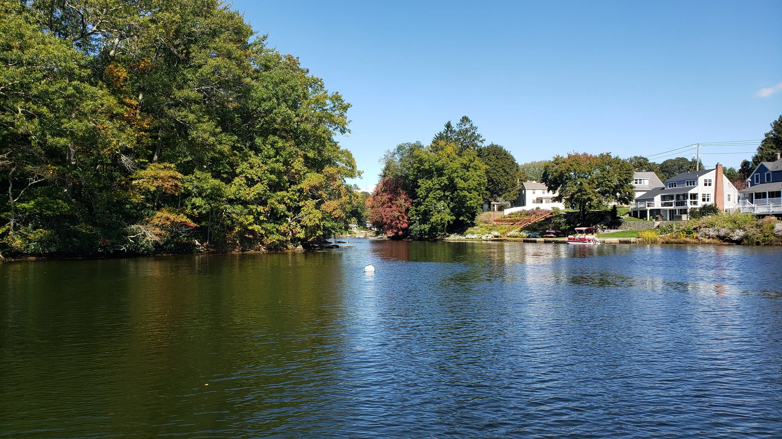 October 8th: I sailed with my dad up the Niantic River and carefully motored into Keeny Cove to explore.