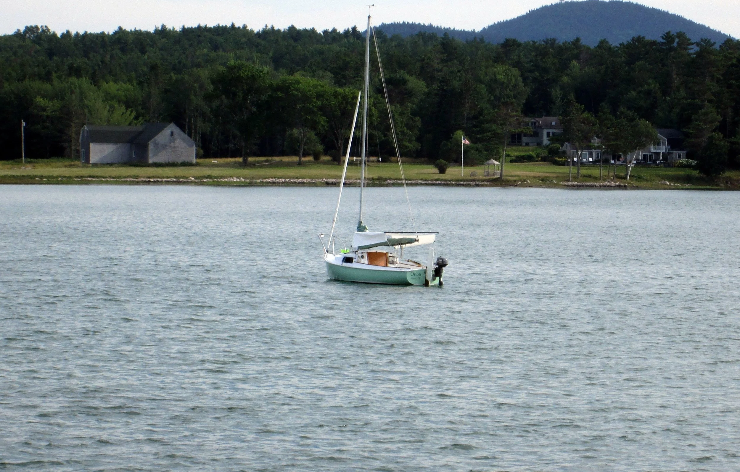 IMG_0134-2.png