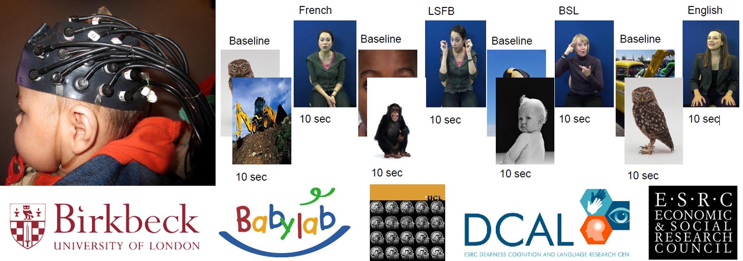1496664367412.jpeg