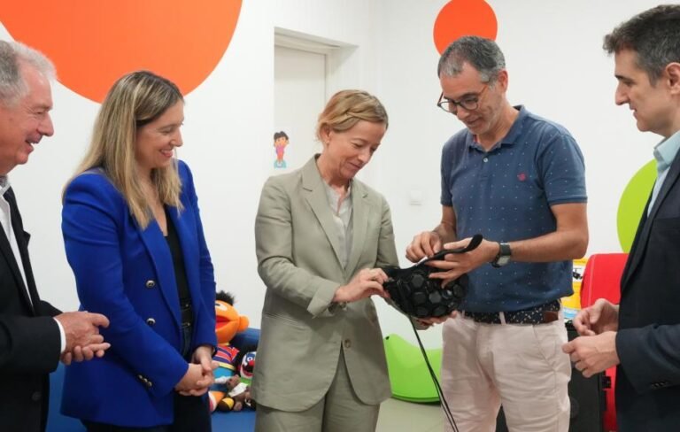Basque Science: Another step forward in research on the infant brain and visual system