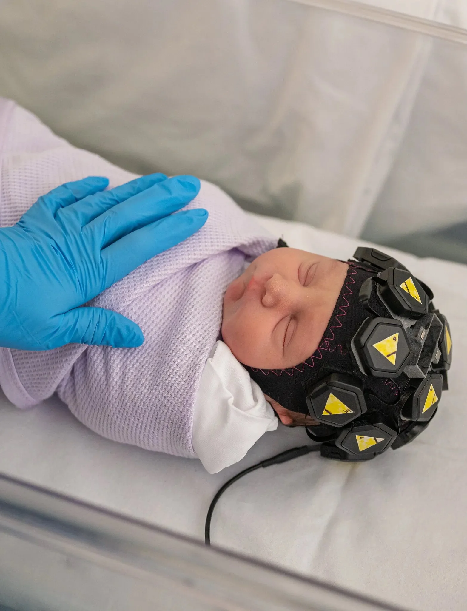 The New York Times: Are Babies Conscious?