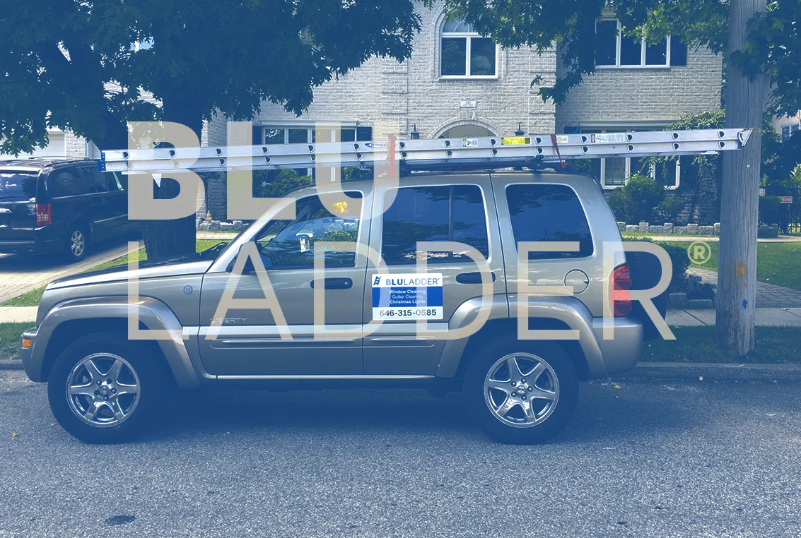 bluladder photo.jpg
