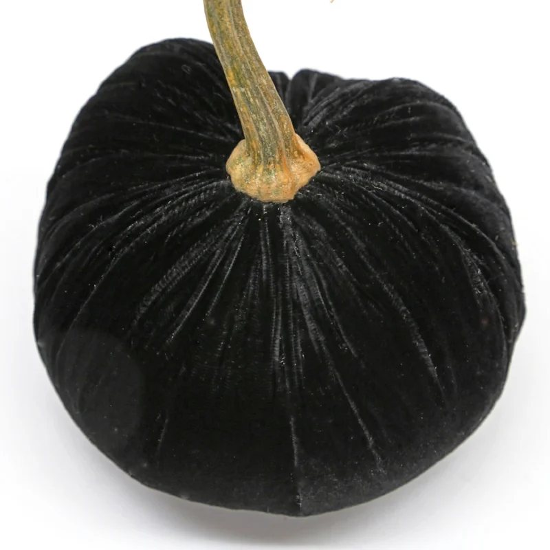 HOT-SKWASH-VELVET-PUMPKIN-ebony2-IMG_2535.jpg