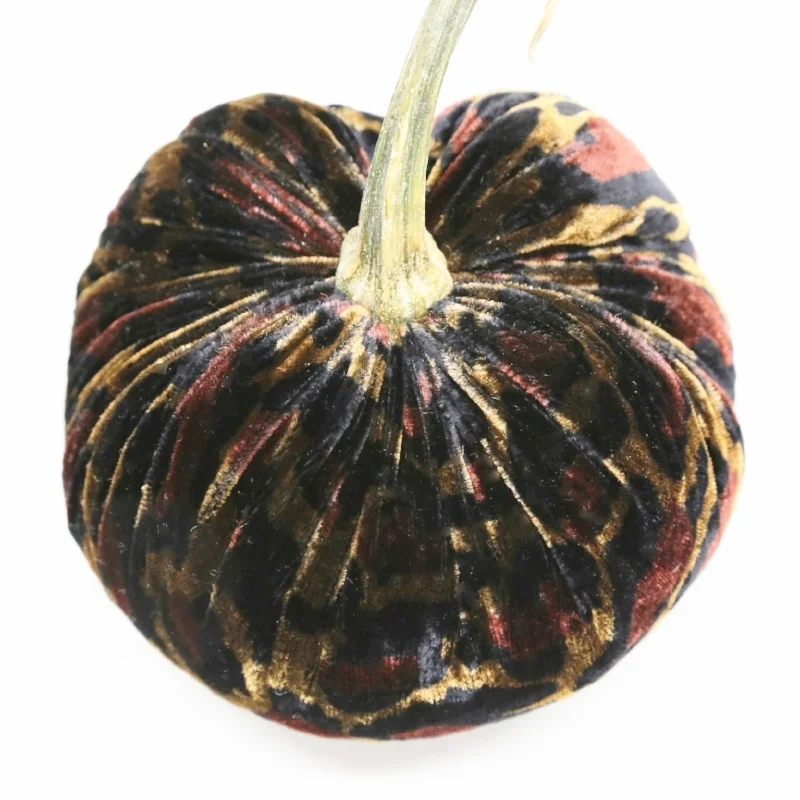 HOT-SKWASH-VELVET-PUMPKIN-leopard-IMG_2548.jpg