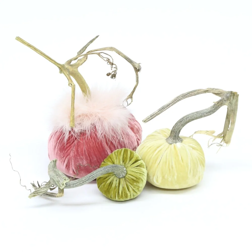 HOT-SKWASH-CASHMERE-PUMPKINS-IMG_3021.jpg
