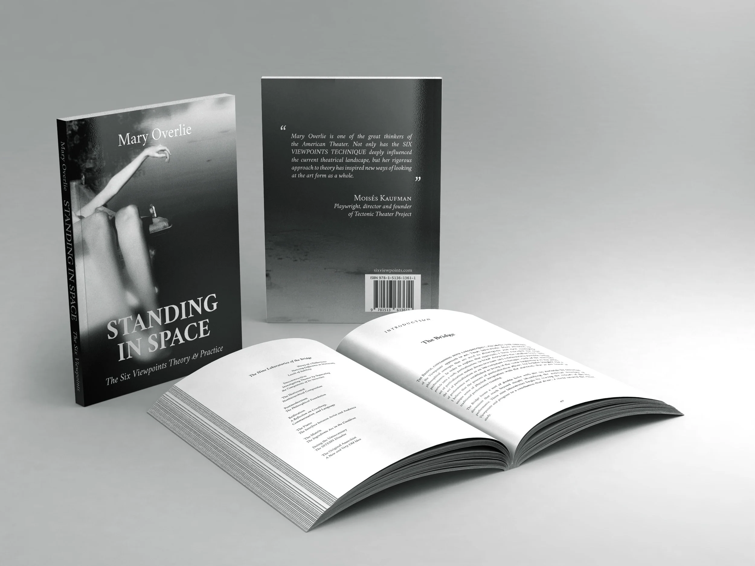 Standing In Space: The Six Viewpoints Theory & Practice Softcover