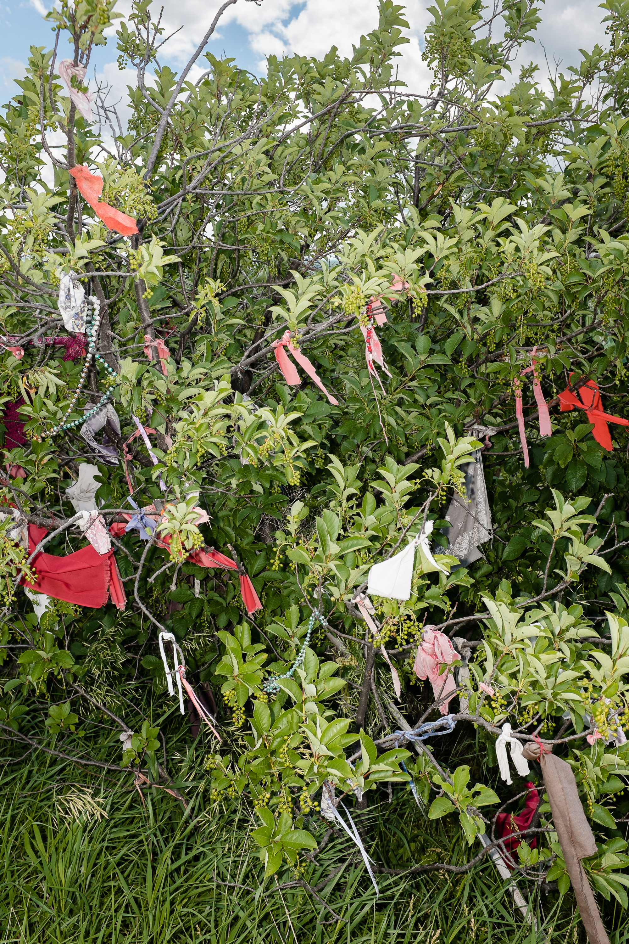 Native American prayer flags in the breeze at Little Big Horn National Battlefield.  