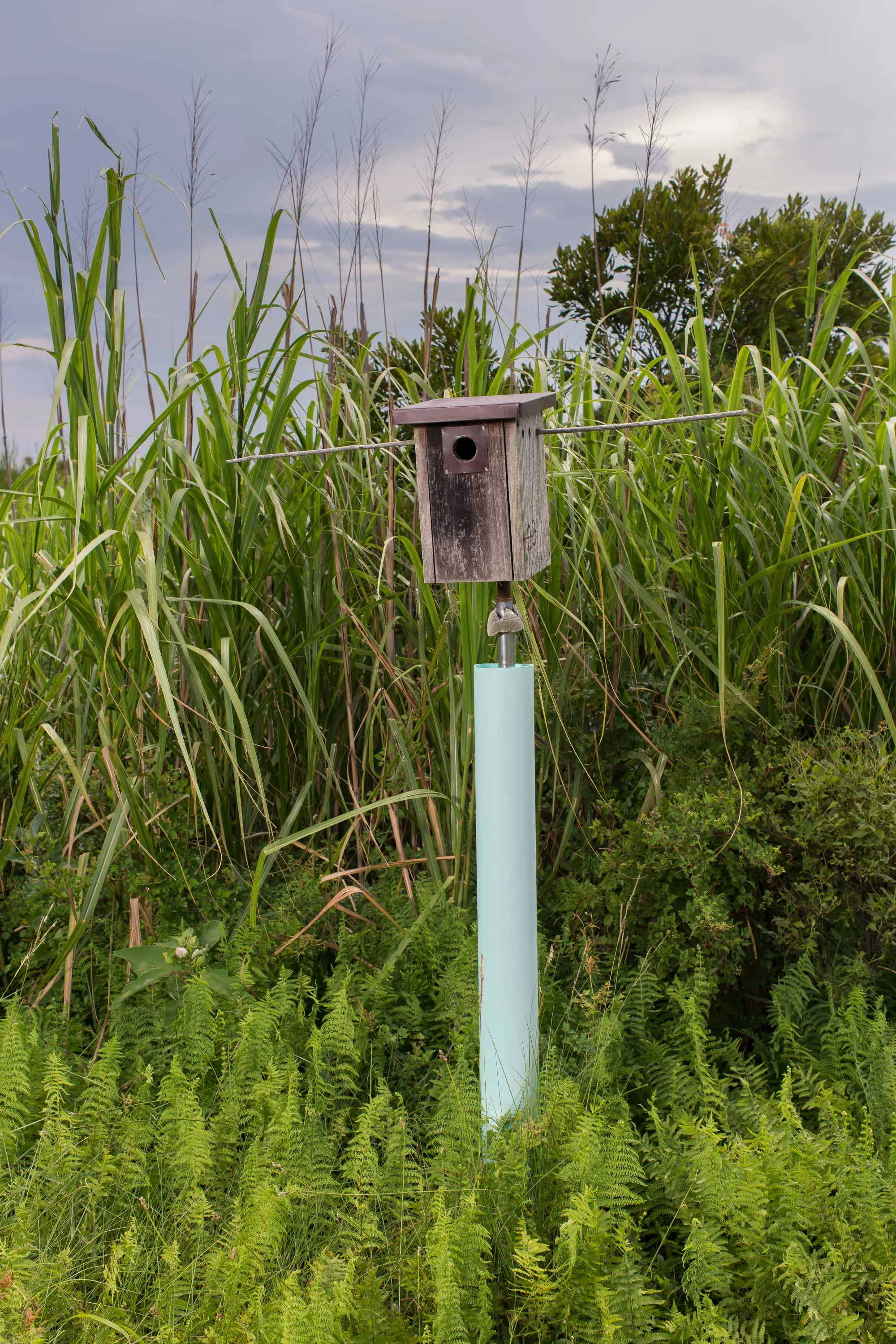  Bird houses provide shelter for some of the nearly 200 species of birds that live in the sanctuary. 