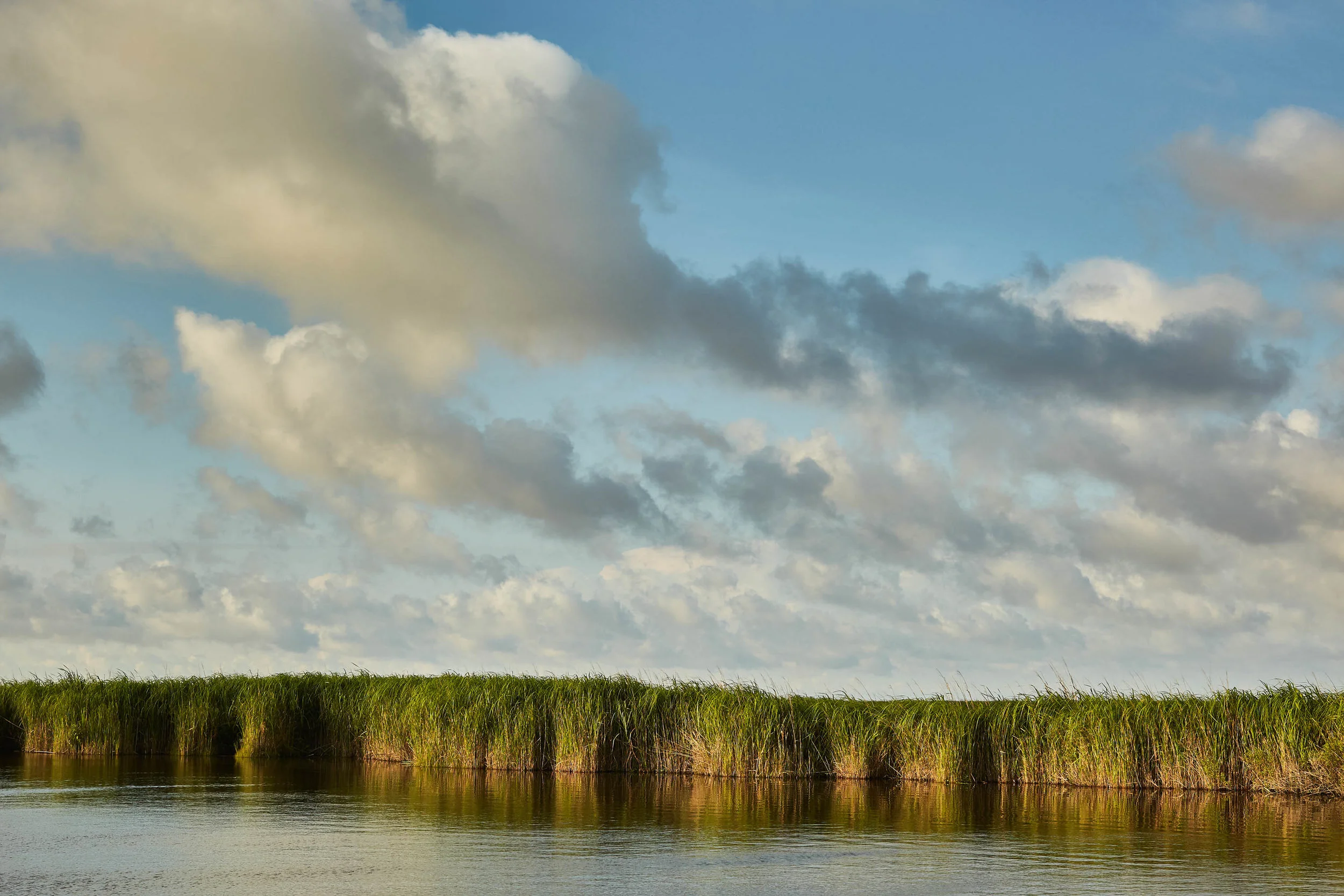  Pine Island's coastal marshes provide a buffer against rising seas; experts say saving them is key to protecting the sanctuary's heritage and its future. 