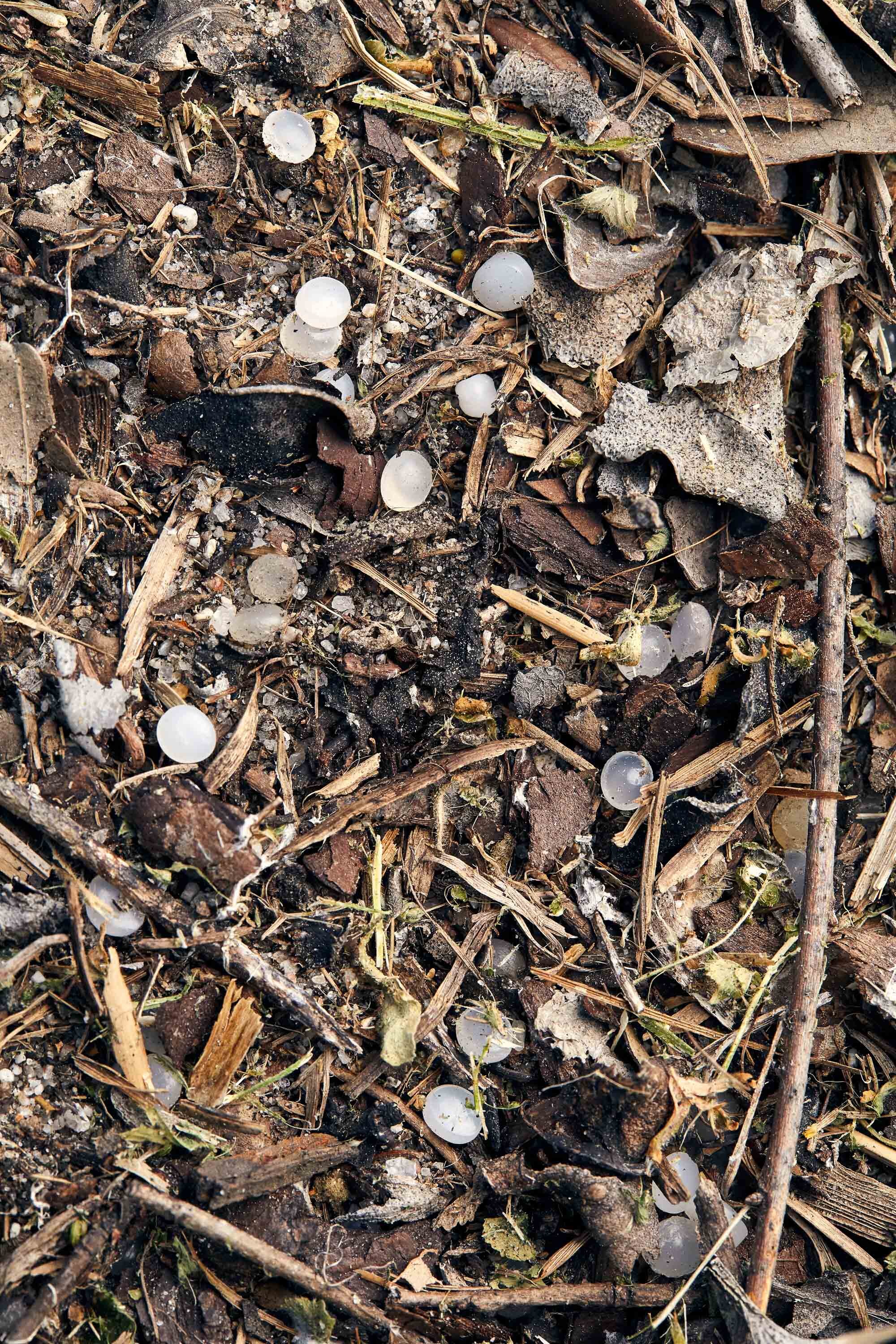 photo of a lot of nurdles