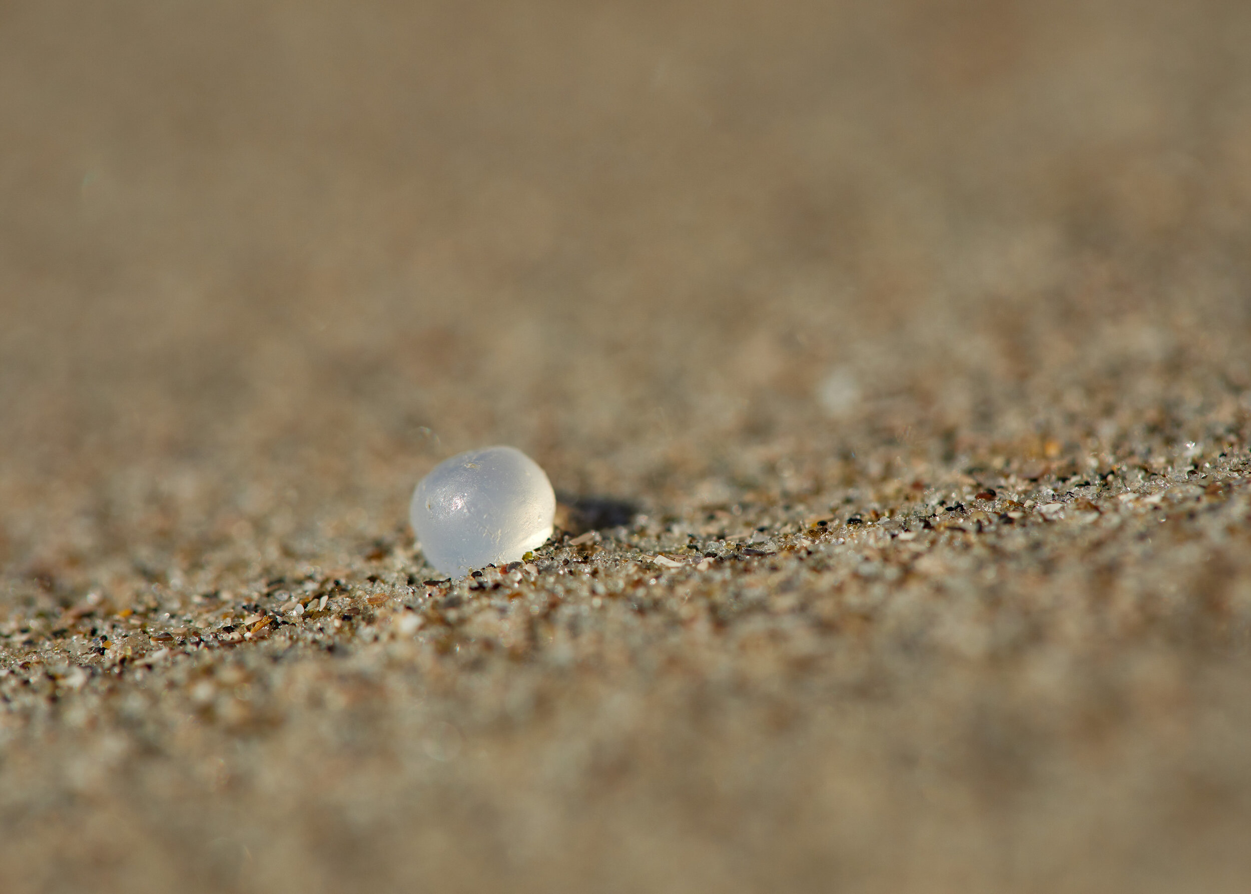 close up photo of nurdle on a beach