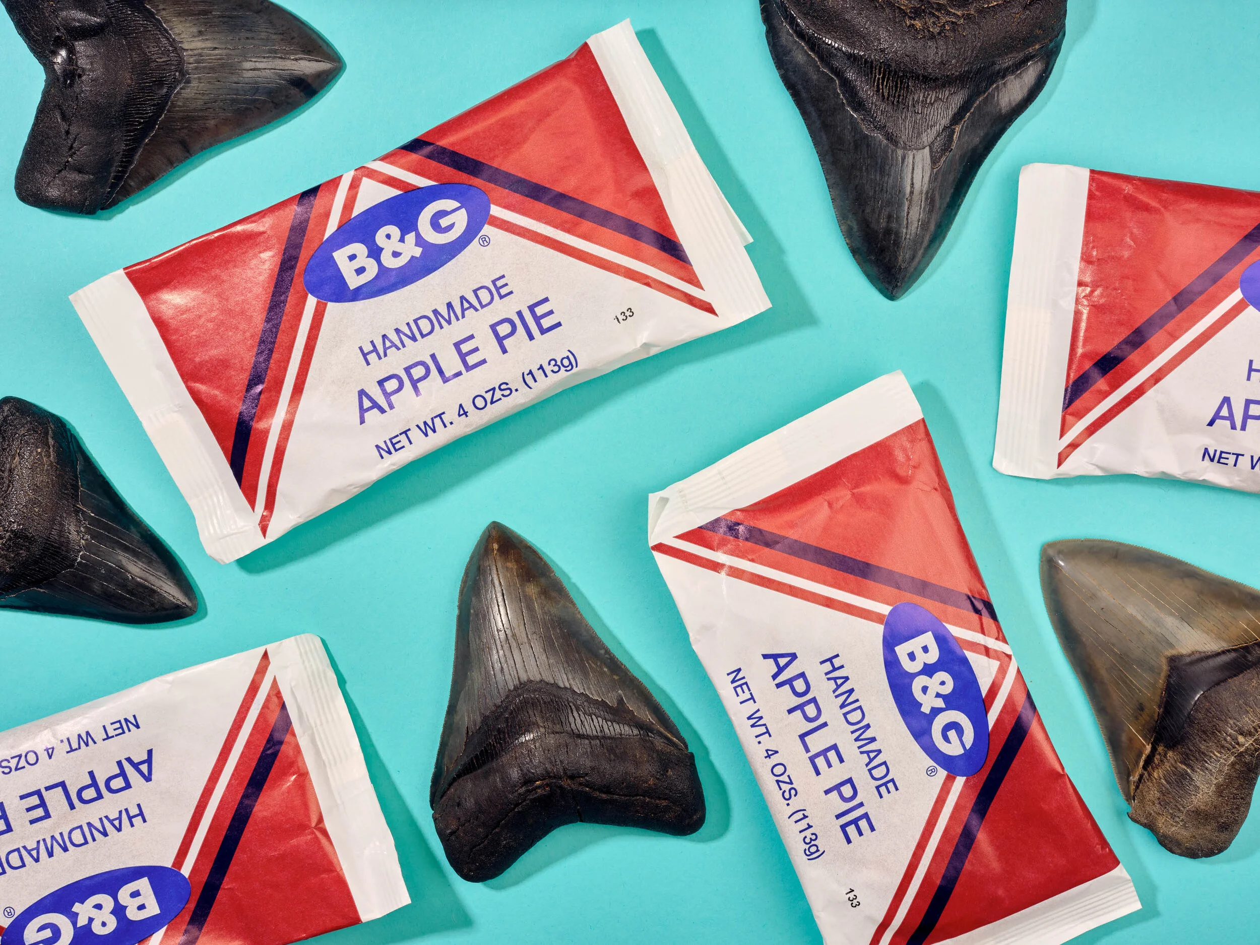  Megalodon Teeth and Apple Pie Study: I haven’t seen my family in a while so my Dad ordered a bunch of B&amp;G Apple pies and had them delivered to me. These are an NC original treat found for sale at gas stations and made by hand in Winston-Salem. R