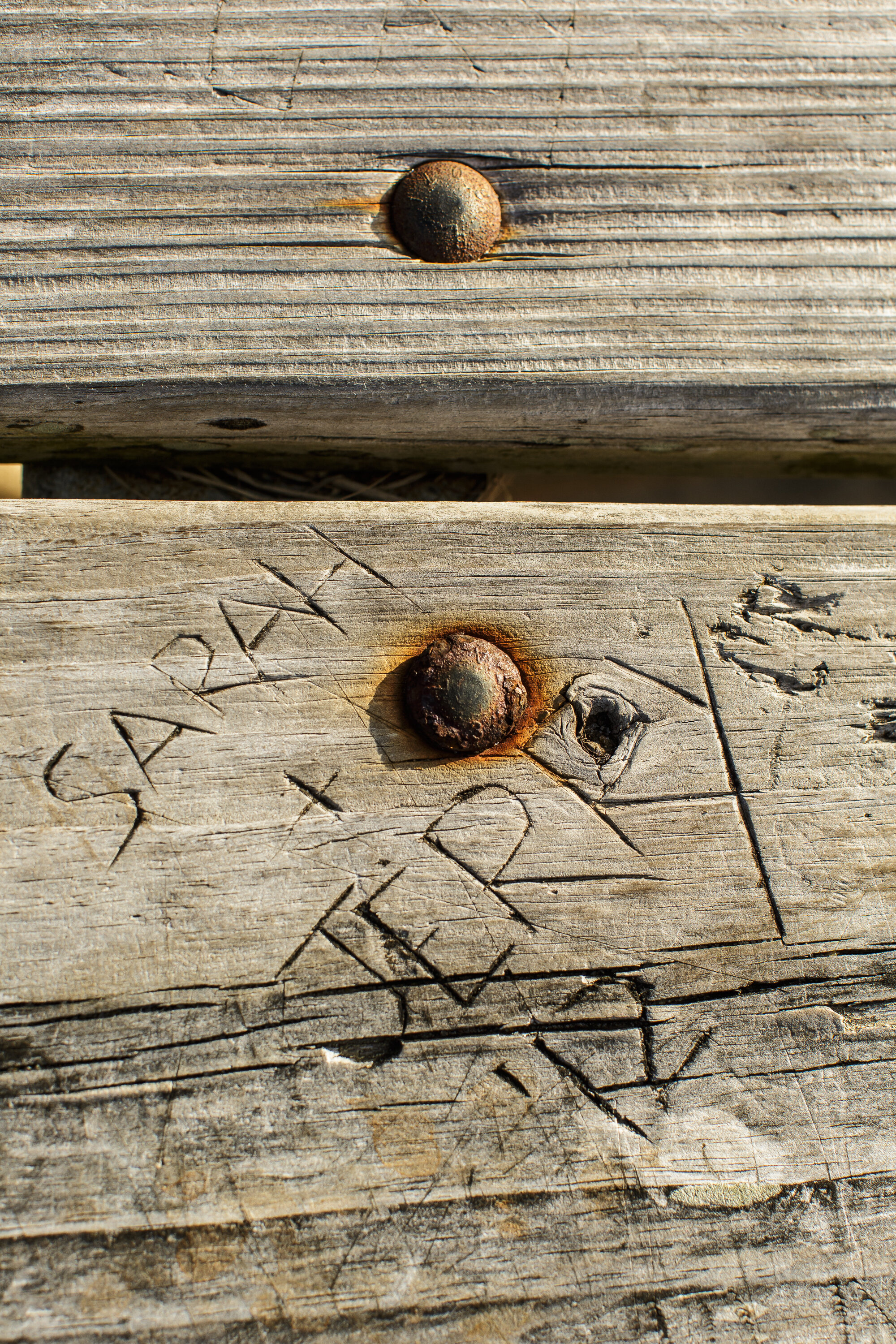  Generations of tourists are drawn to the warm, shallow water at the Salvo Day Use Area, and many leave their mark behind on the picnic benches at the edge of the Pamlico Sound. 