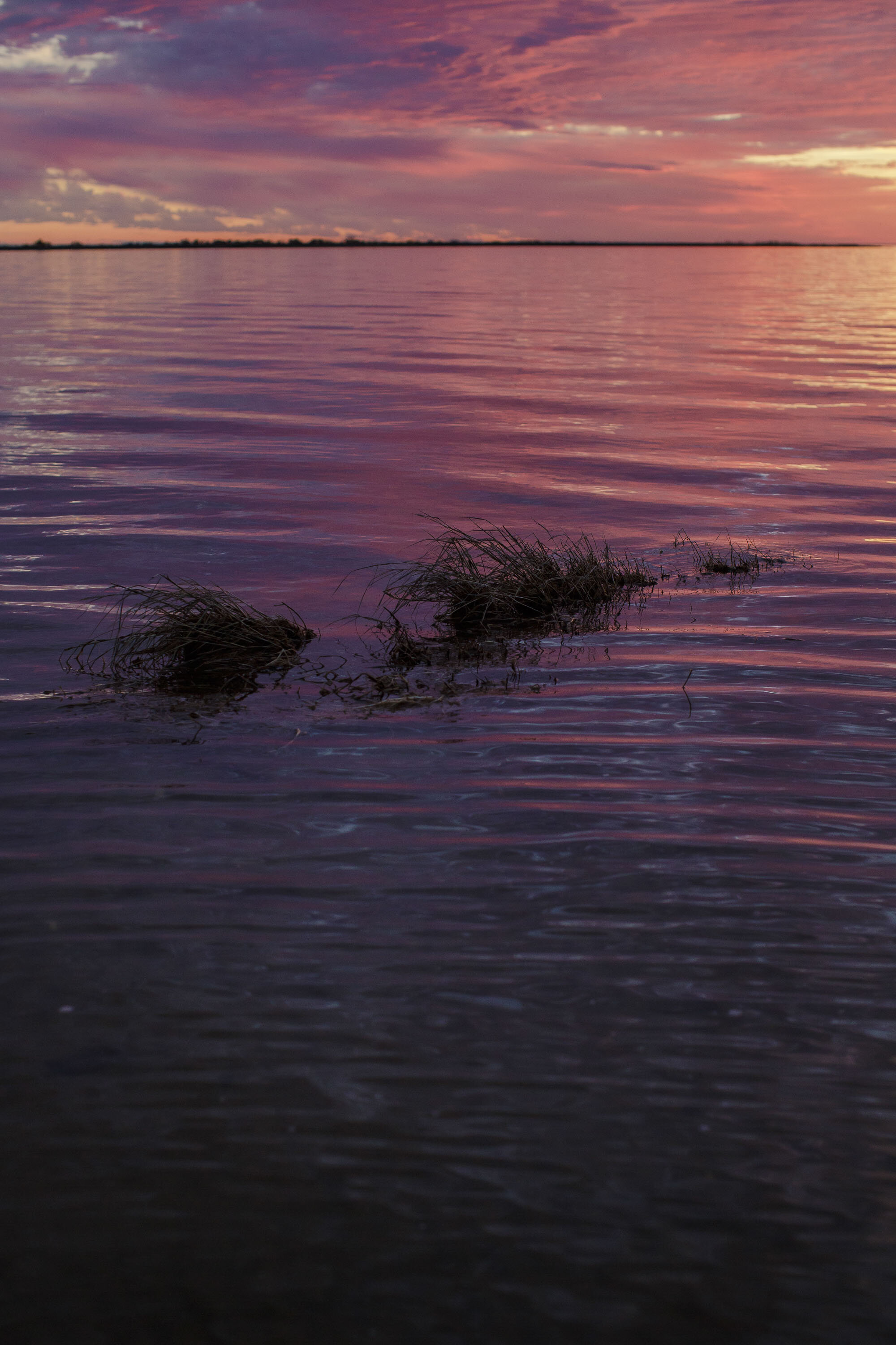  Waves slowly erode the remaining marsh at the edge of the sound at the Salvo Day Use Area. 