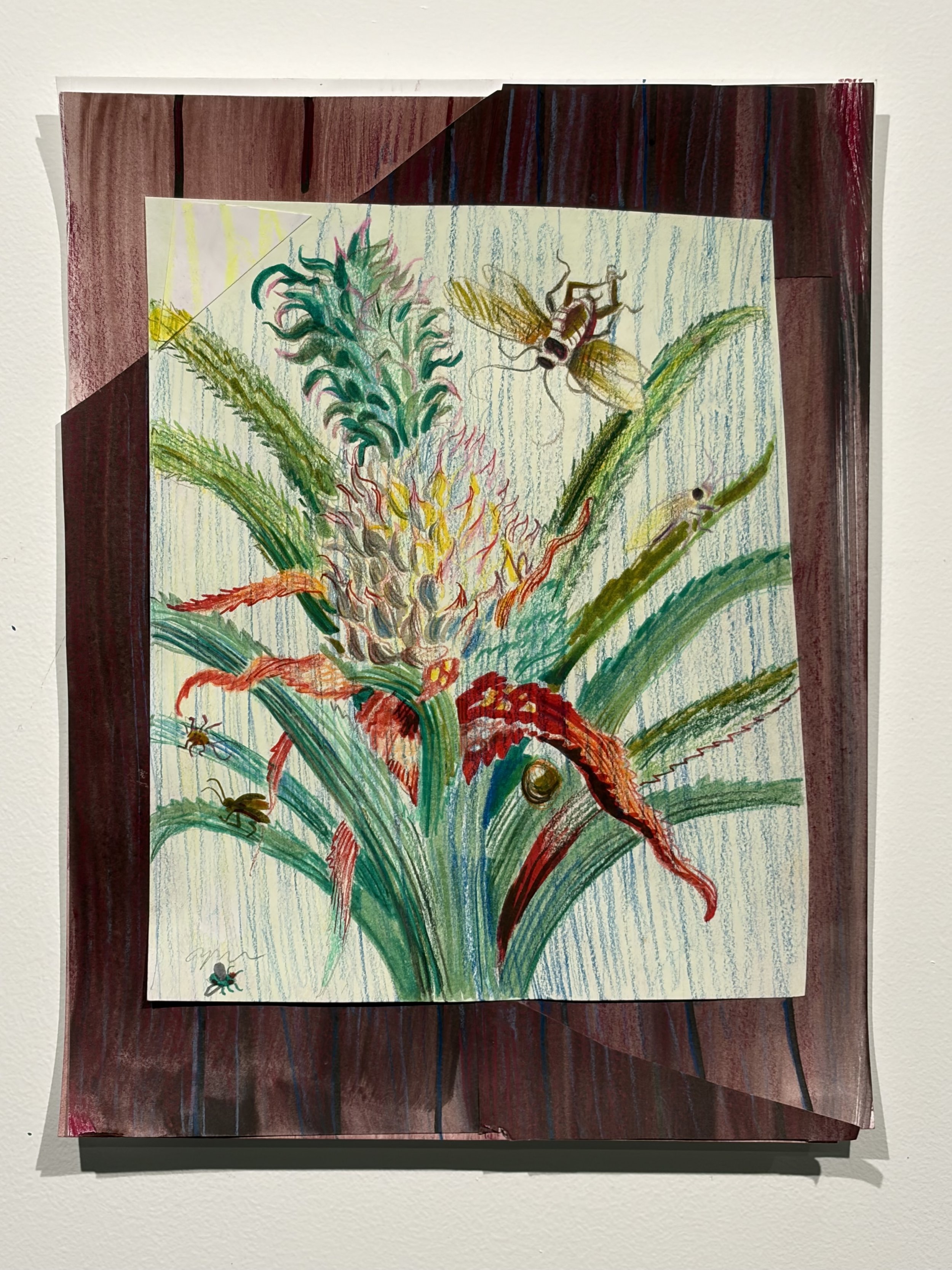 Maria Sibylla Merians Drawing: Pineapple and Cockroaches