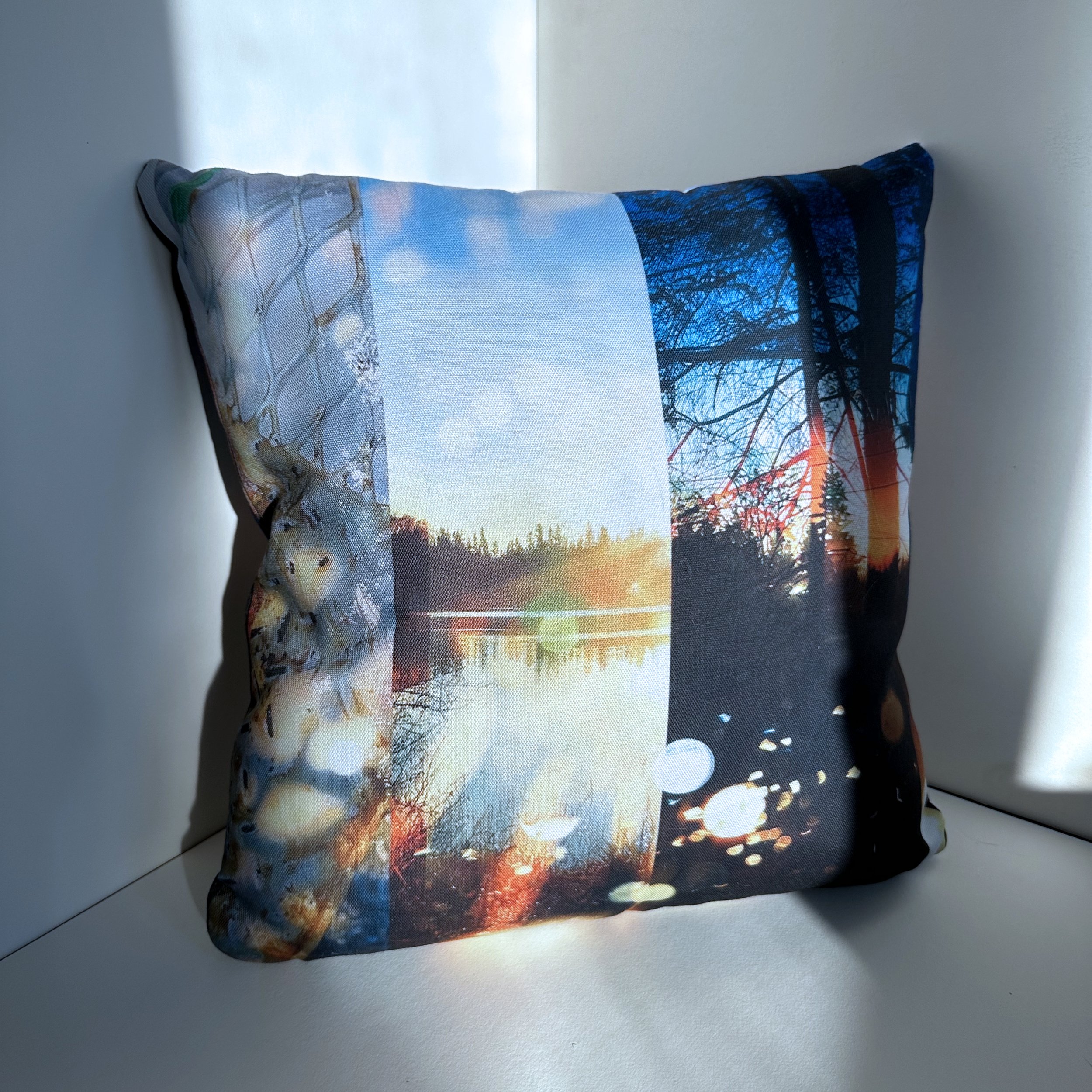 coussin_jouer.jpg
