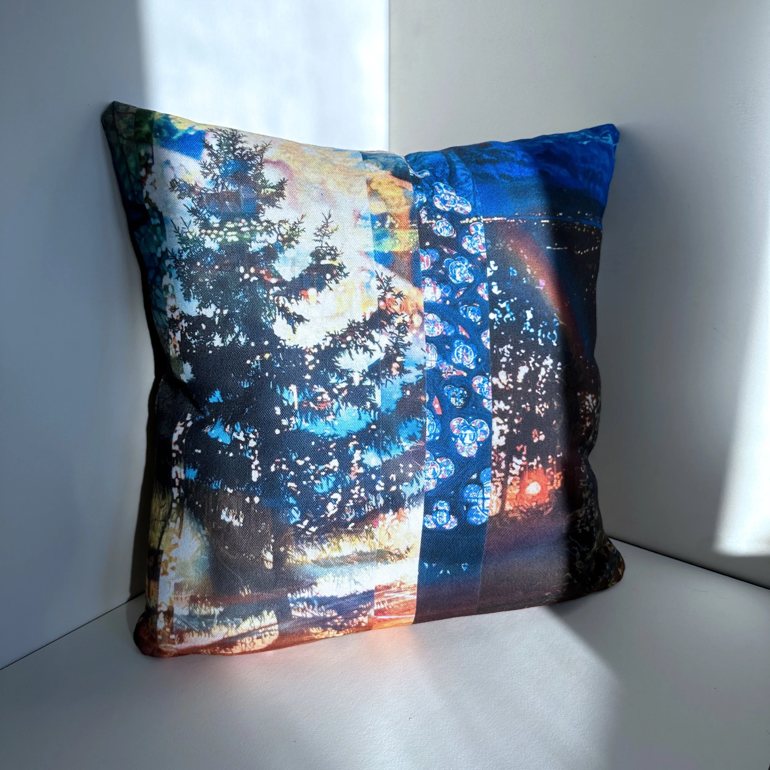 coussin_vieilleame.jpg