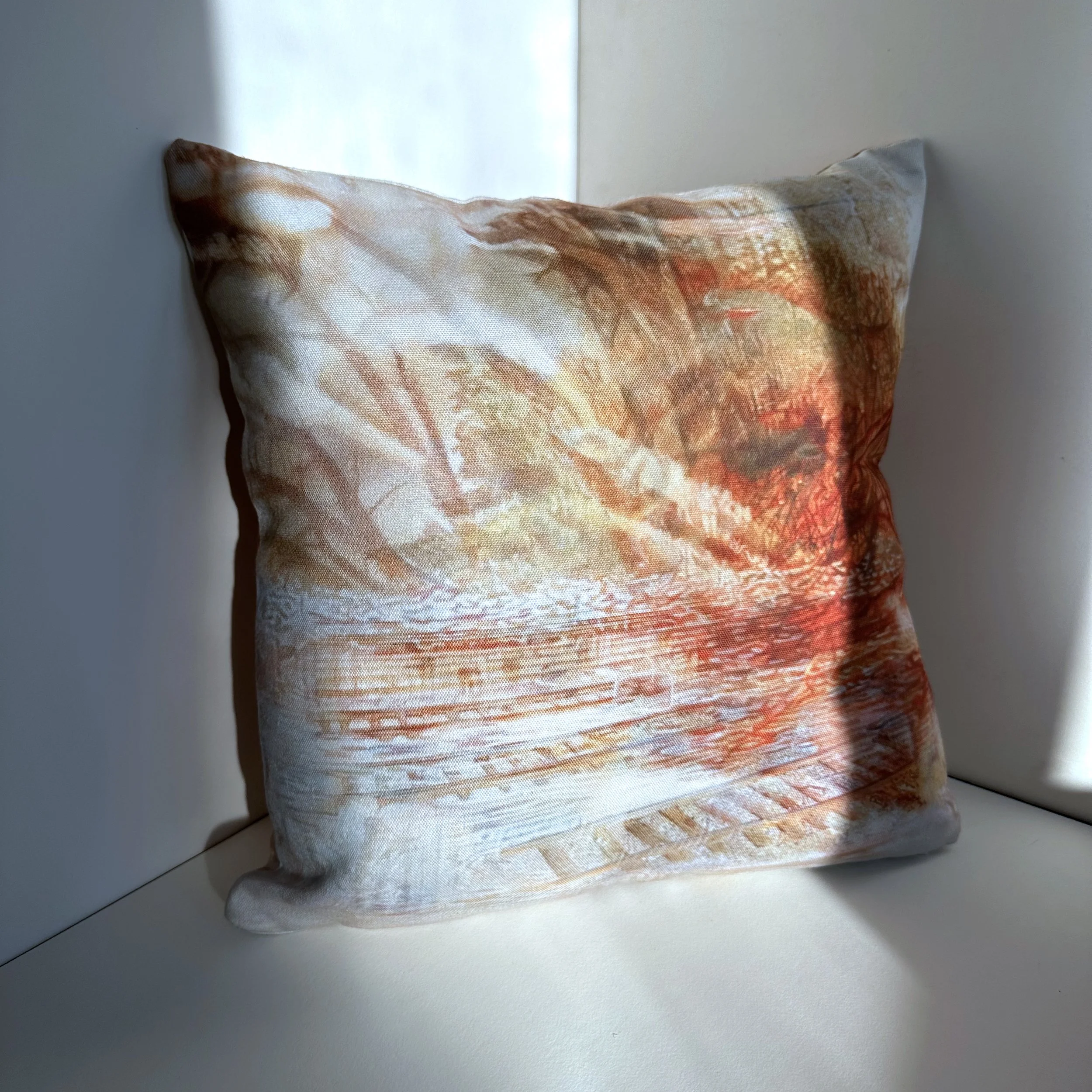 coussin_retour.jpg