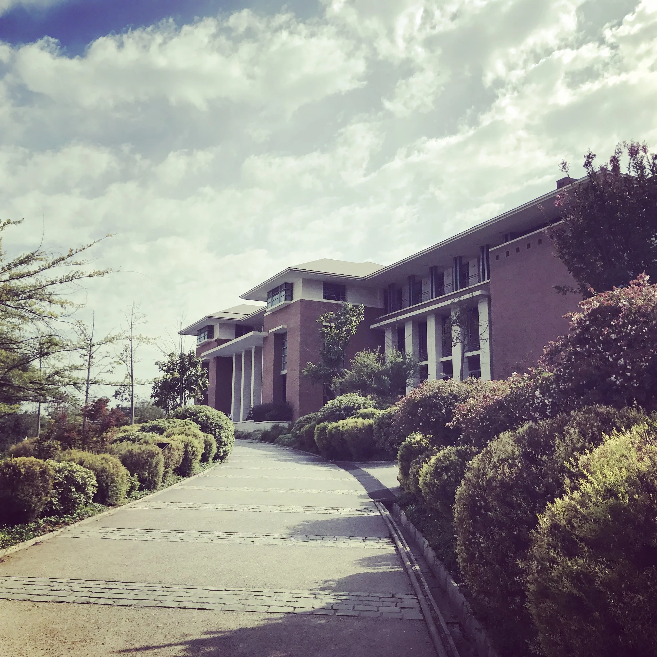 Library at the University of the Andes
