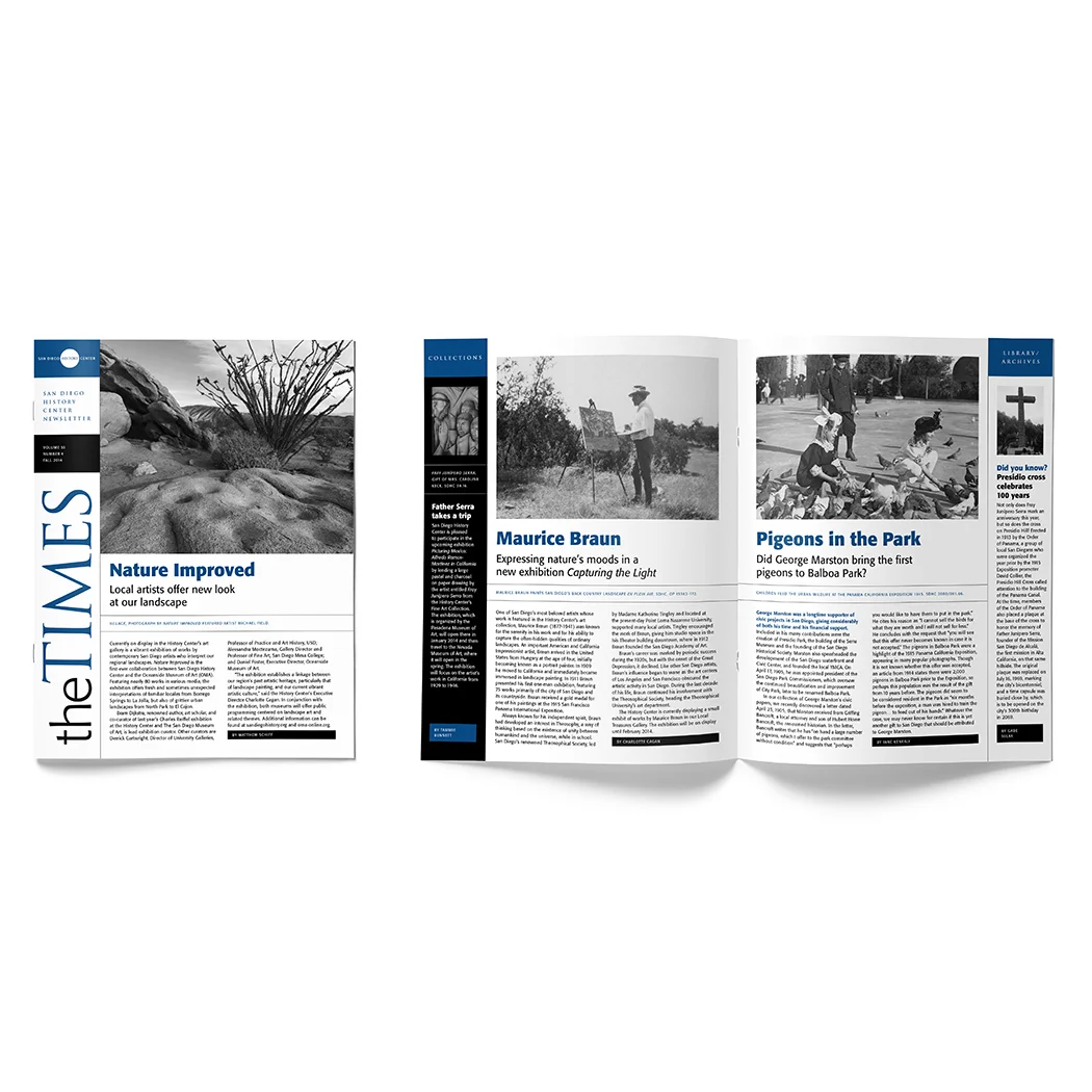 SDHC_Newsletter.jpg