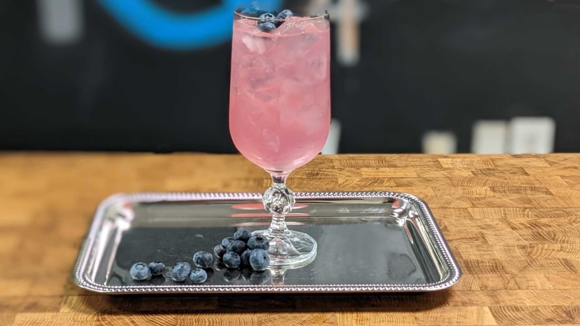 Blueberry Gin and Tonic