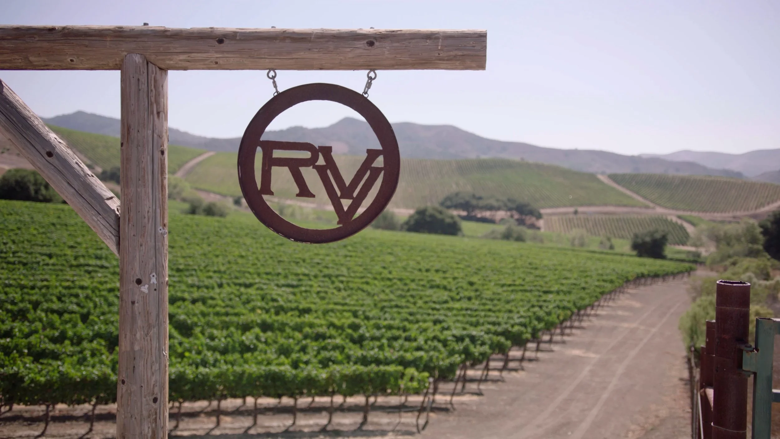 Thorne Wine_Chard_Final_4K.00_00_04_10.Still002.jpg