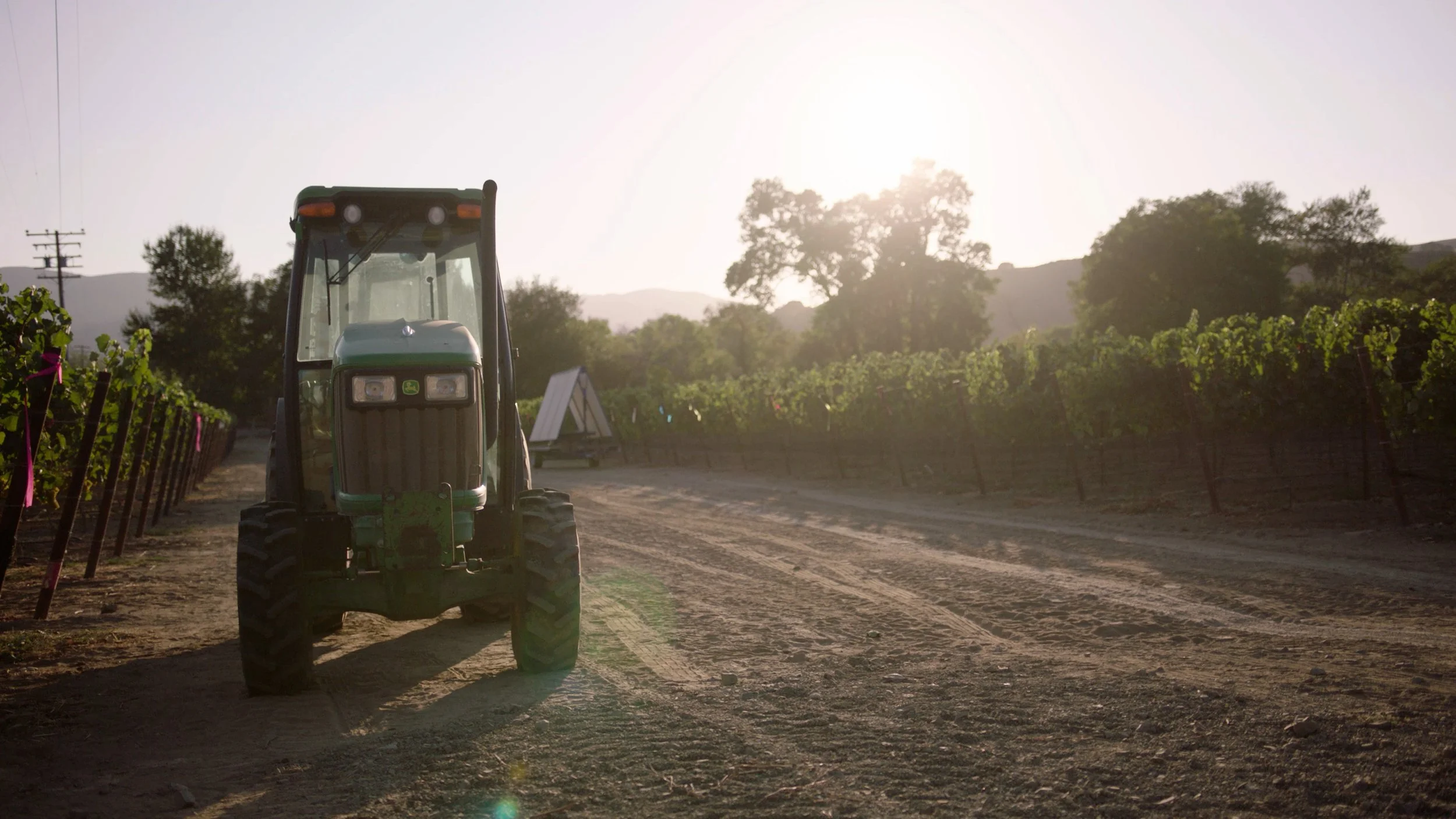 Thorne Wine_Chard_Final_4K.00_00_22_12.Still003.jpg