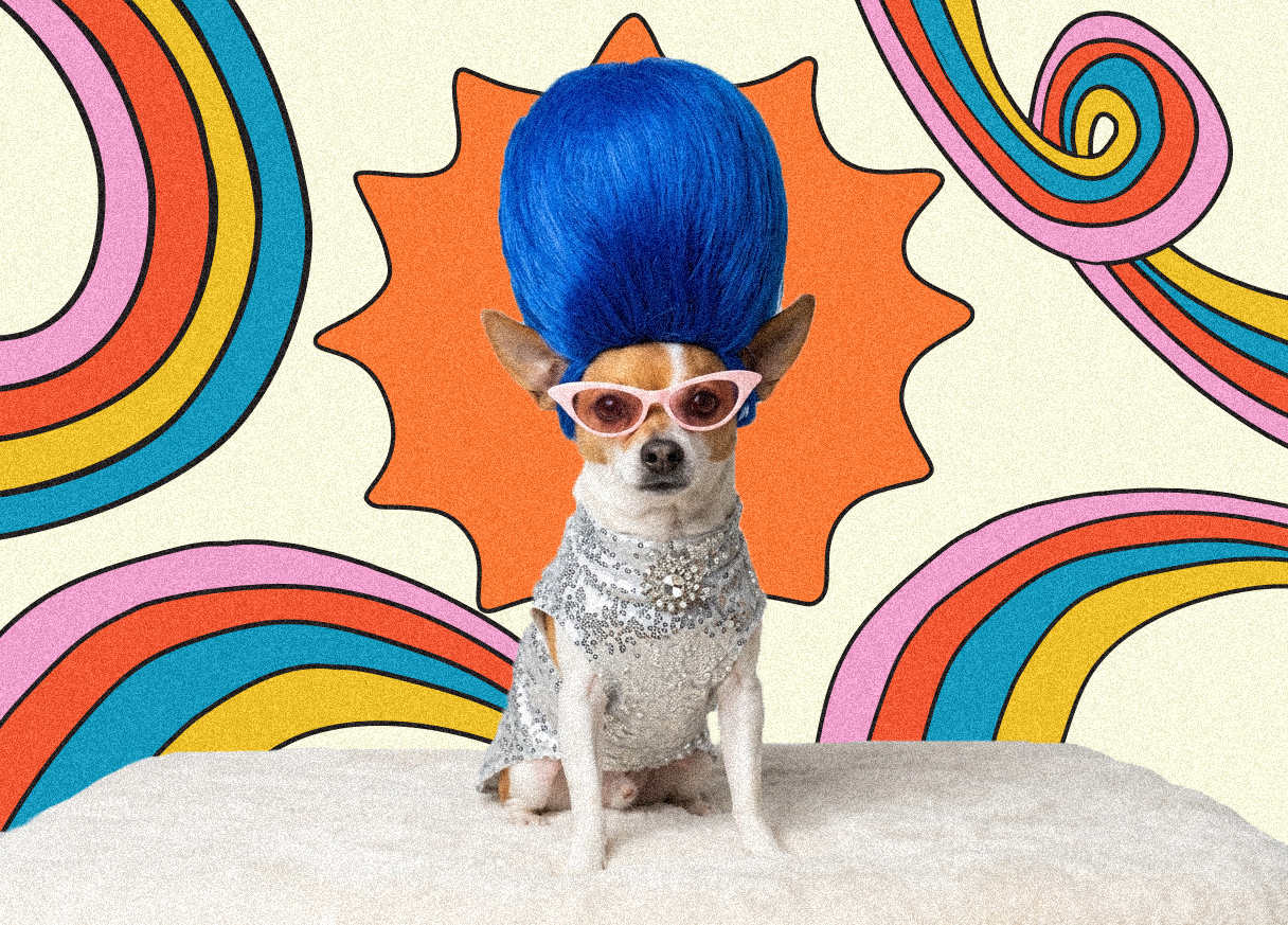 dogpic1.png