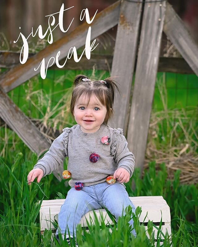 One year old photo shoots are some of my favorite!! This cutie did not disappoint!! She is absolutely adorable!! Happy birthday!! #1stbirthdayphotoshoot #oneyearold #jmreederphotography #laytonphotographer #photographer #utahphotographer #childphotog