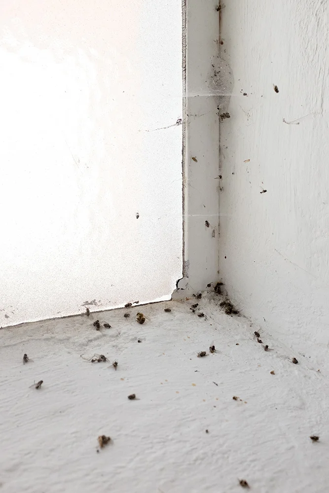 semi-zine-photography-submission-jeroen-de-wandel-9.jpg