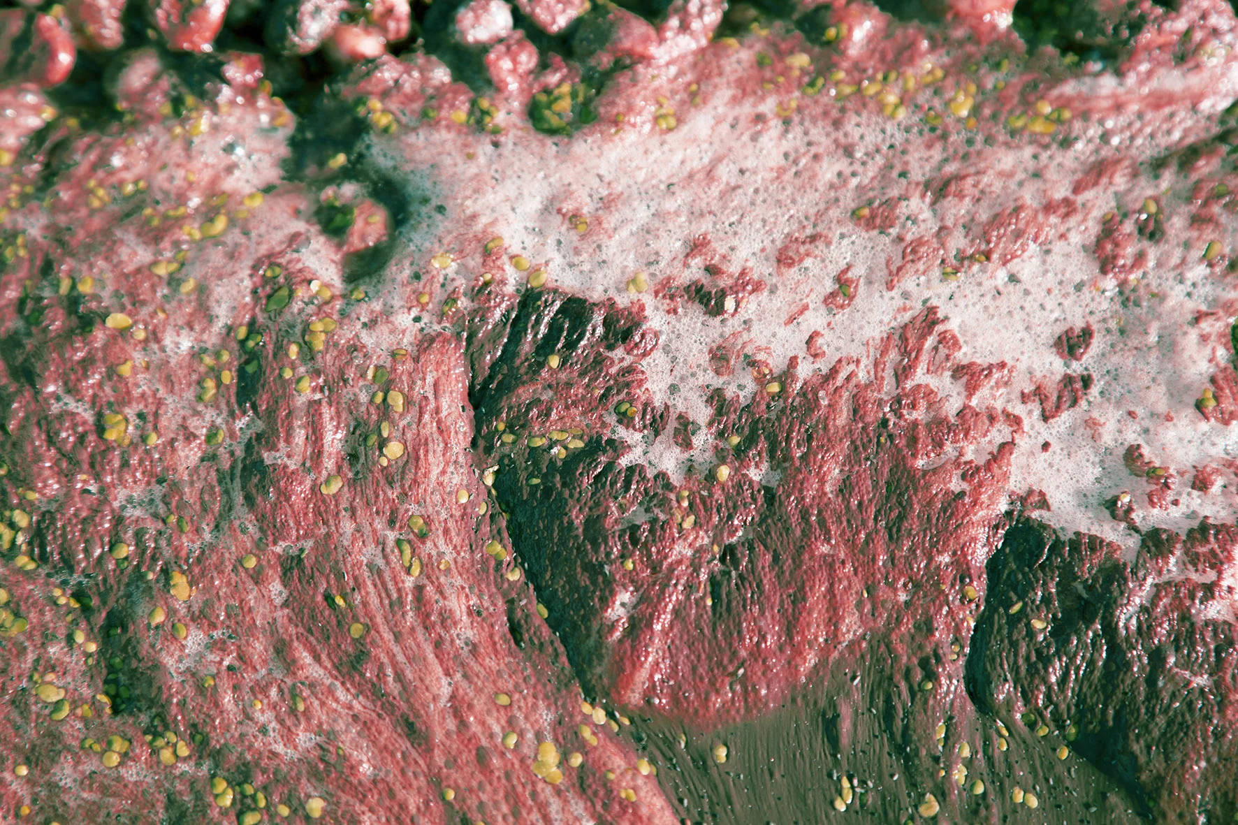paige-middeton-untitled-semi-zine-photography-submission-1.jpg