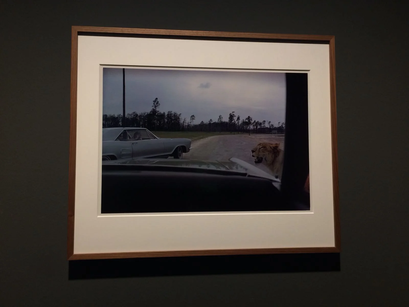 Semi Zine reviews the Joel Meyerowitz retrospective at C/O Berlin, curated by Felix Hoffman.